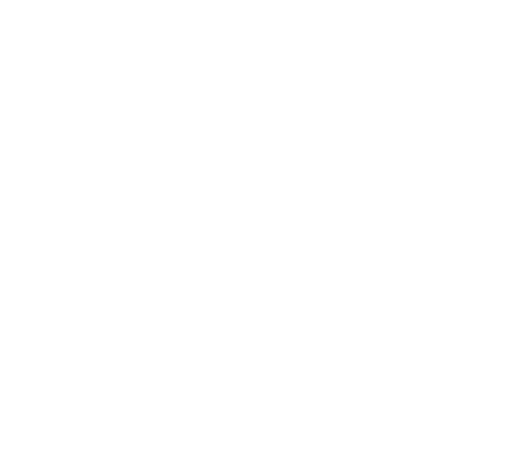 Twin Brother&#39;s Pizza