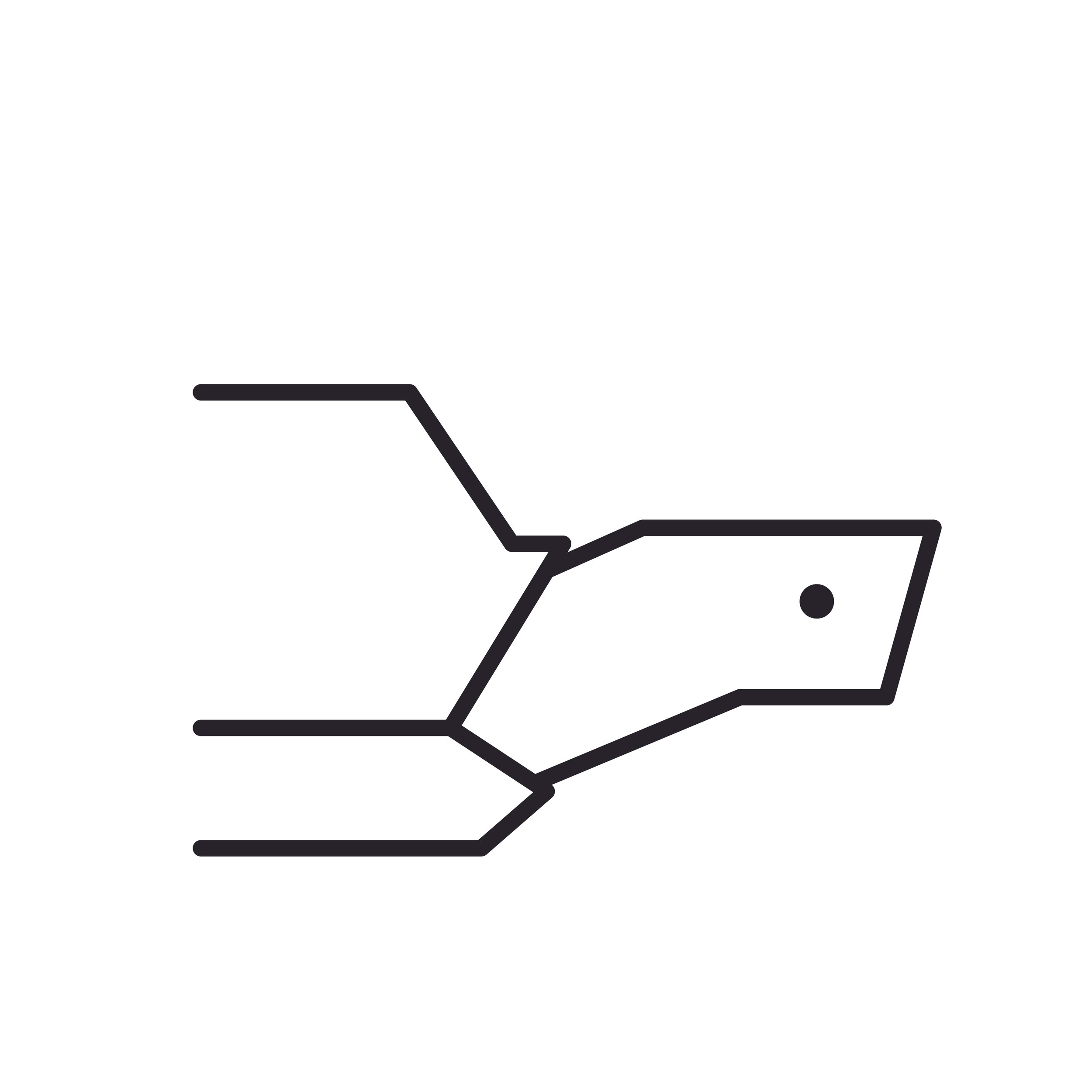 Minimalist_Animal_Series_turtle.jpg