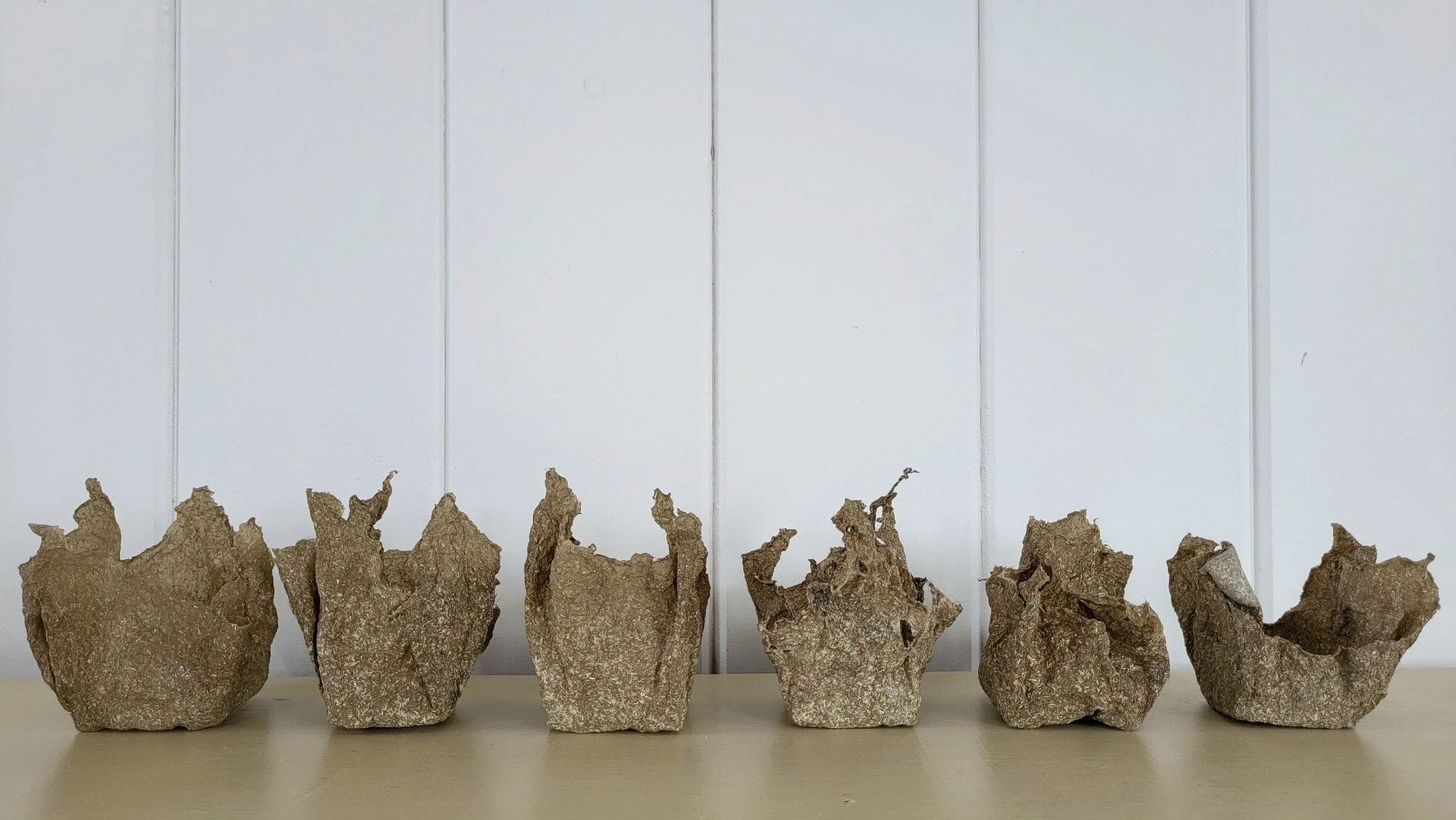 Tattered Crowns (2023)