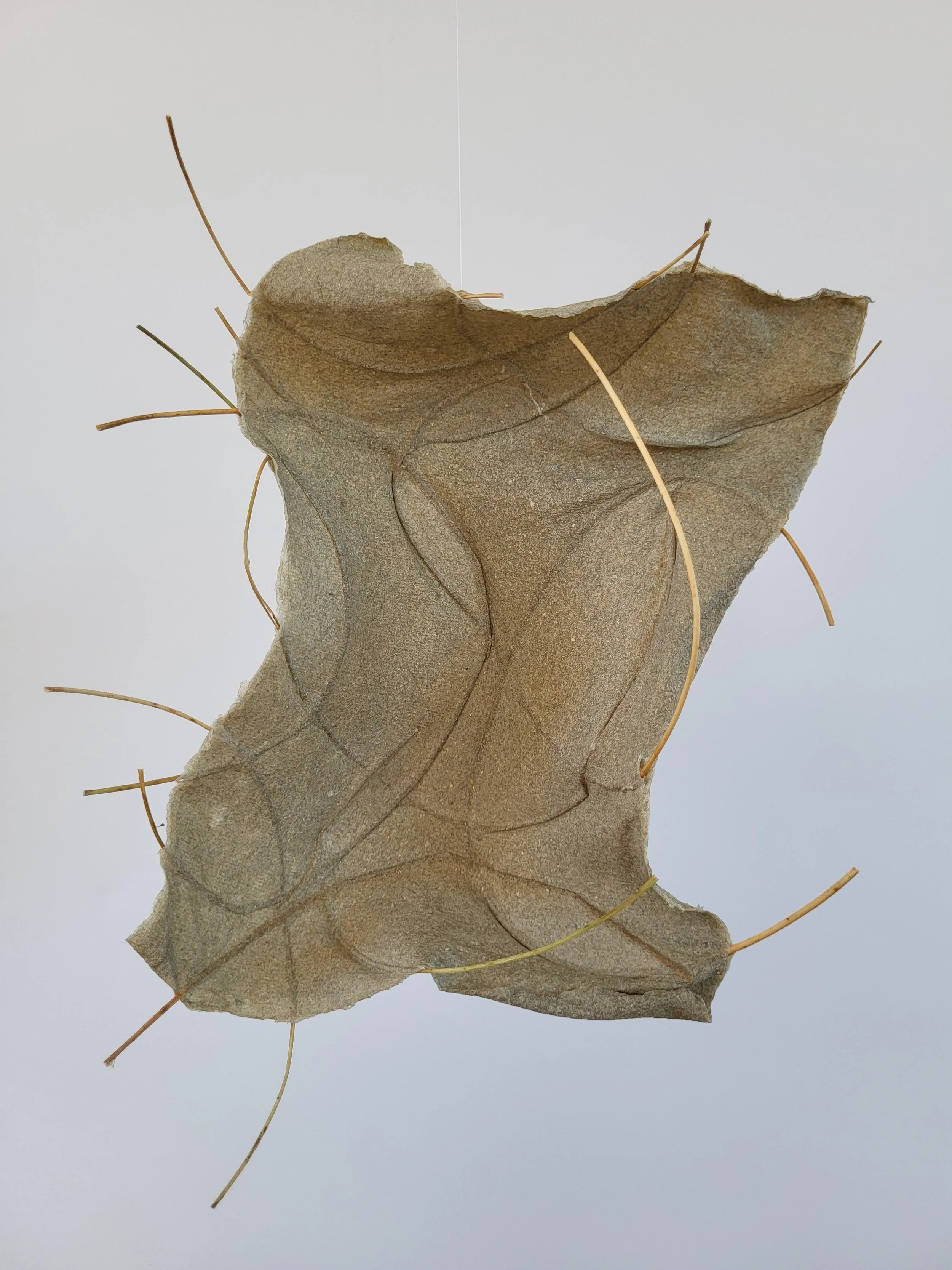 Flax in Flax Form #2 (2022)