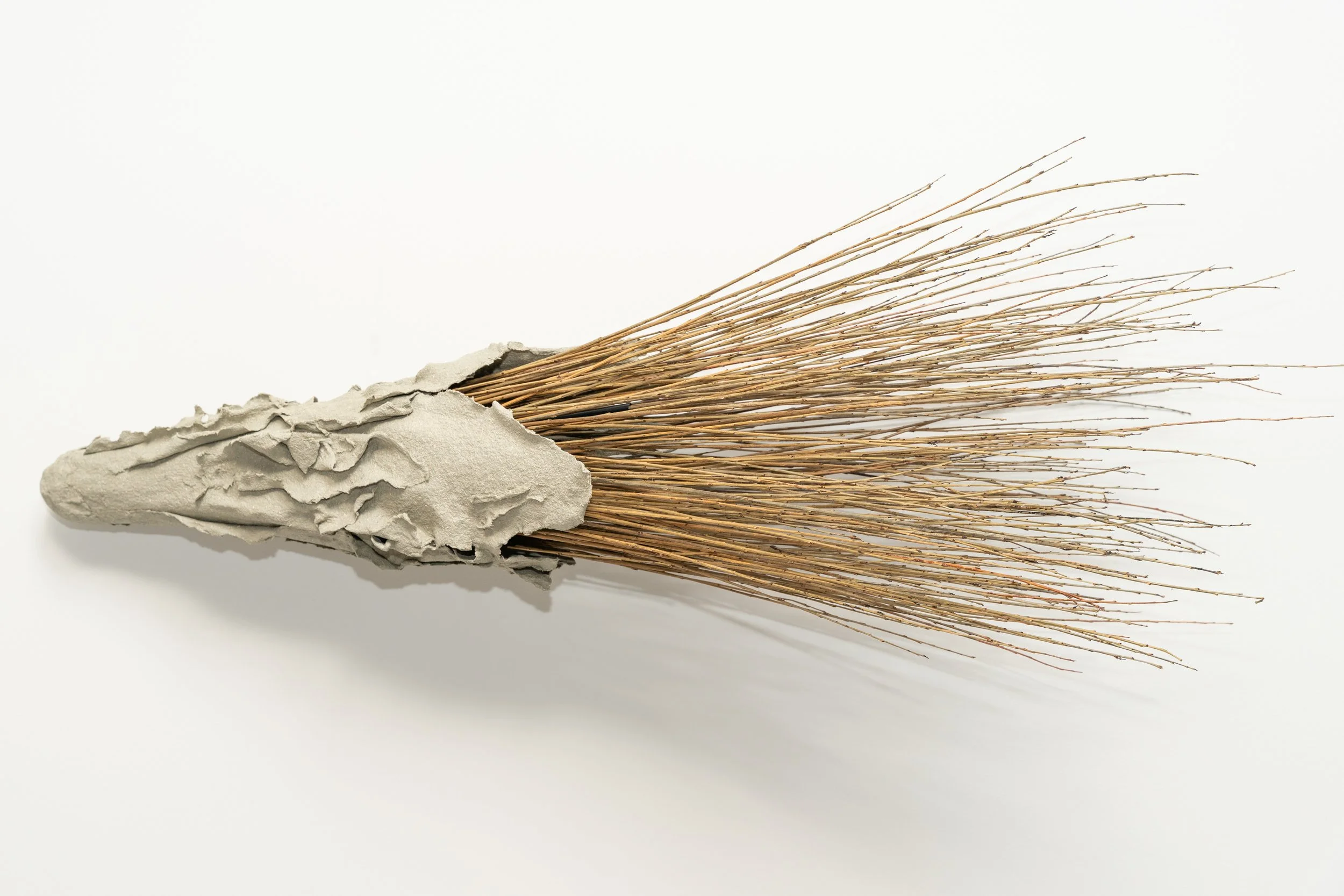 Ragged and Roaring at the Skyline (2024)