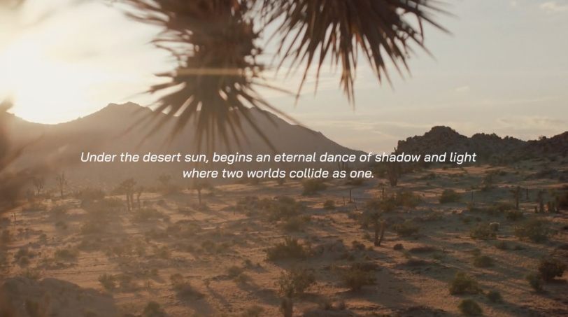 Sounds of the Desert