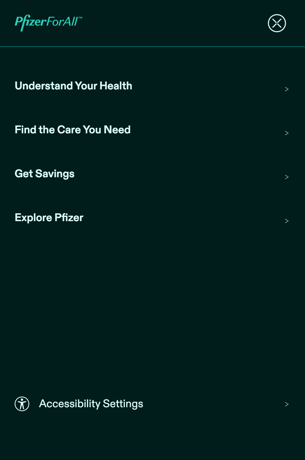 Tap on Accessibility Settings to access modes