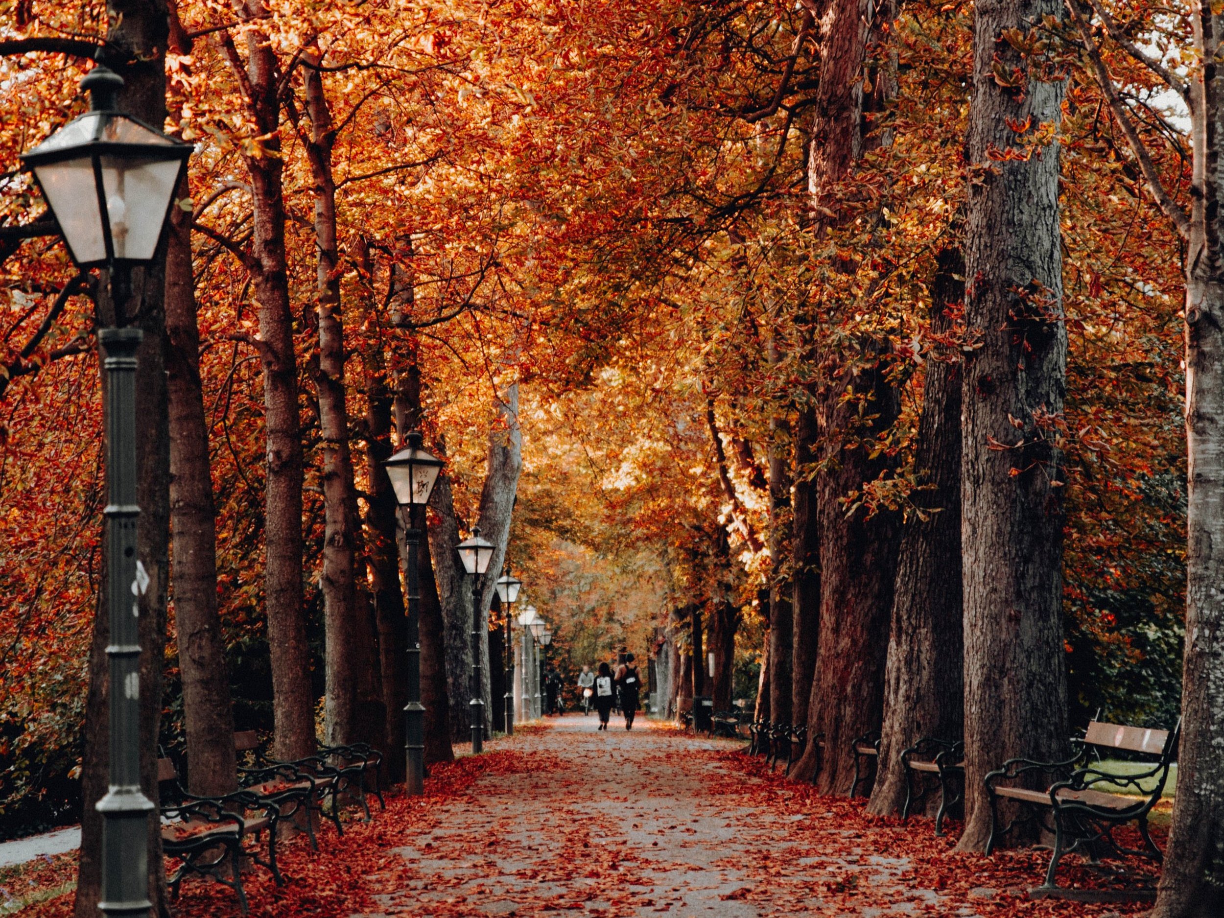 Could Your Family Benefit from an Independent, Outsourced Chief Investment Officer? Part VI