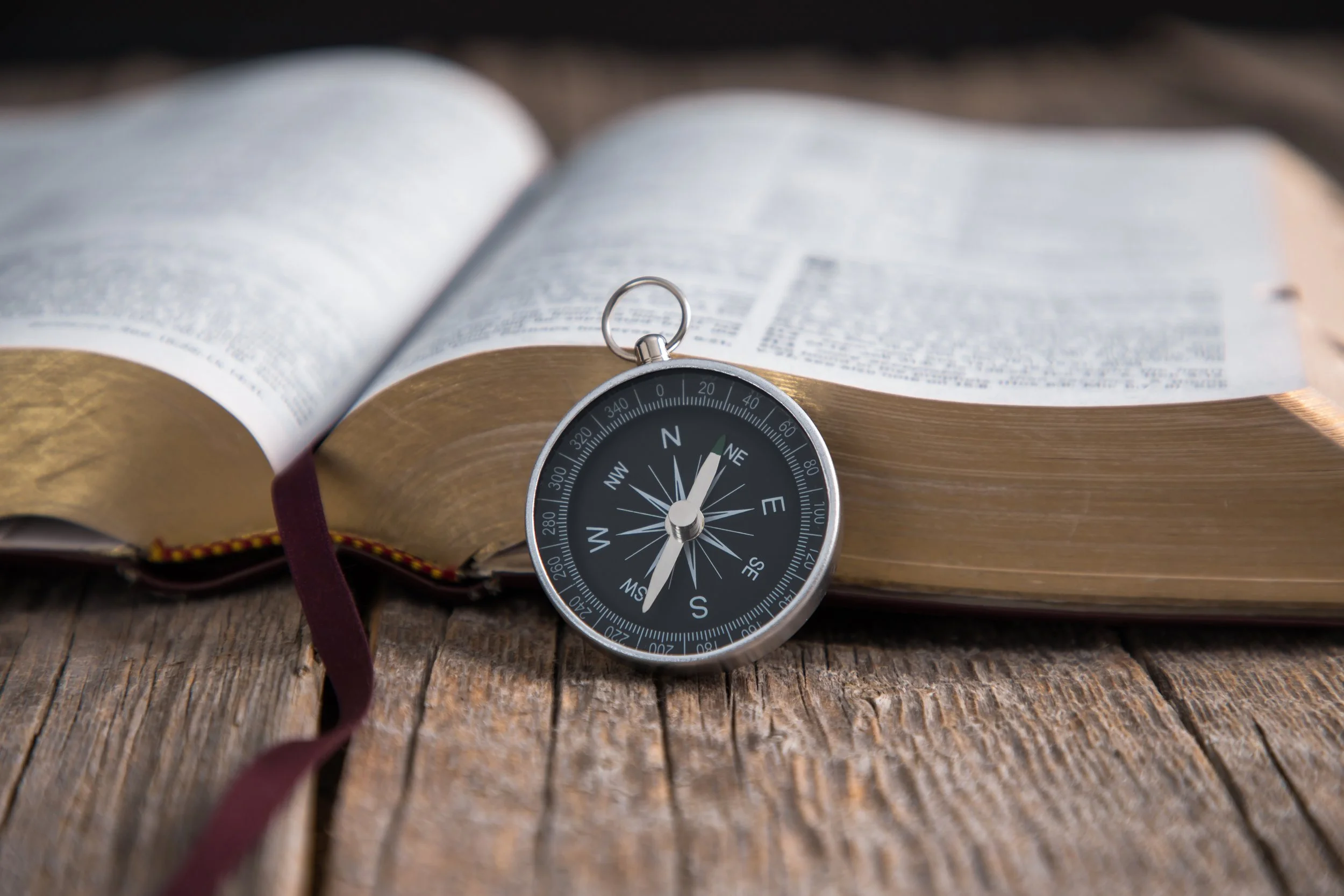 Nonprofit Spotlight: The Navigator