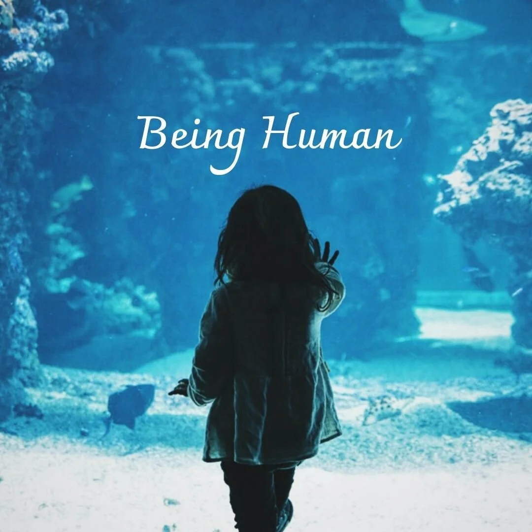 Being Human