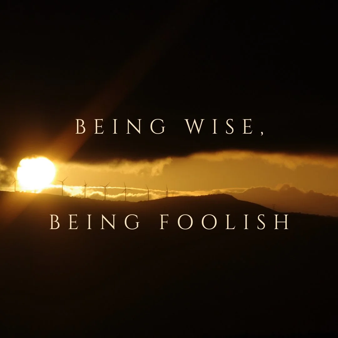 Being Wise, Being Foolish