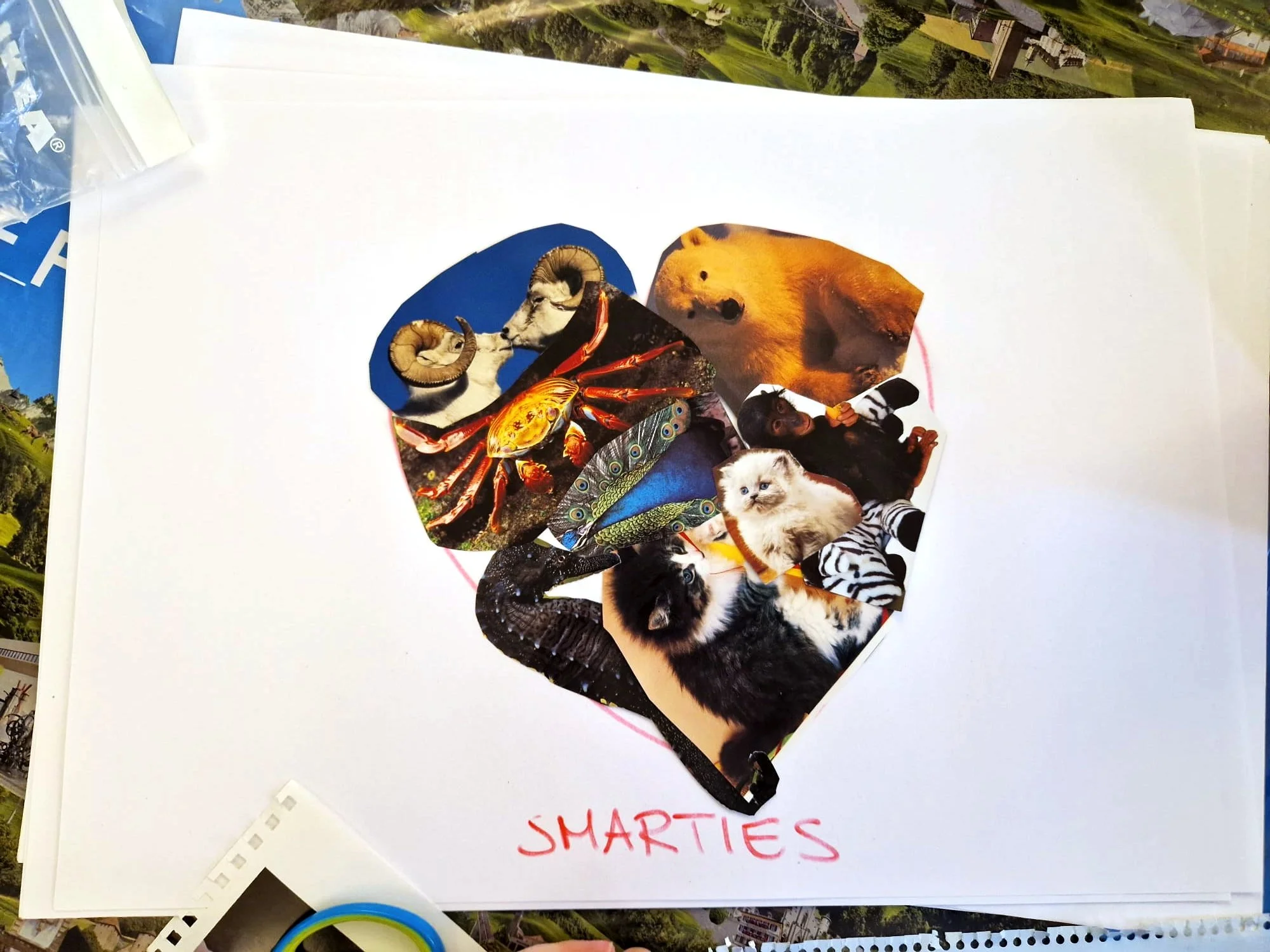 PHOTO-2026-03-15-19-38-12 3.jpg