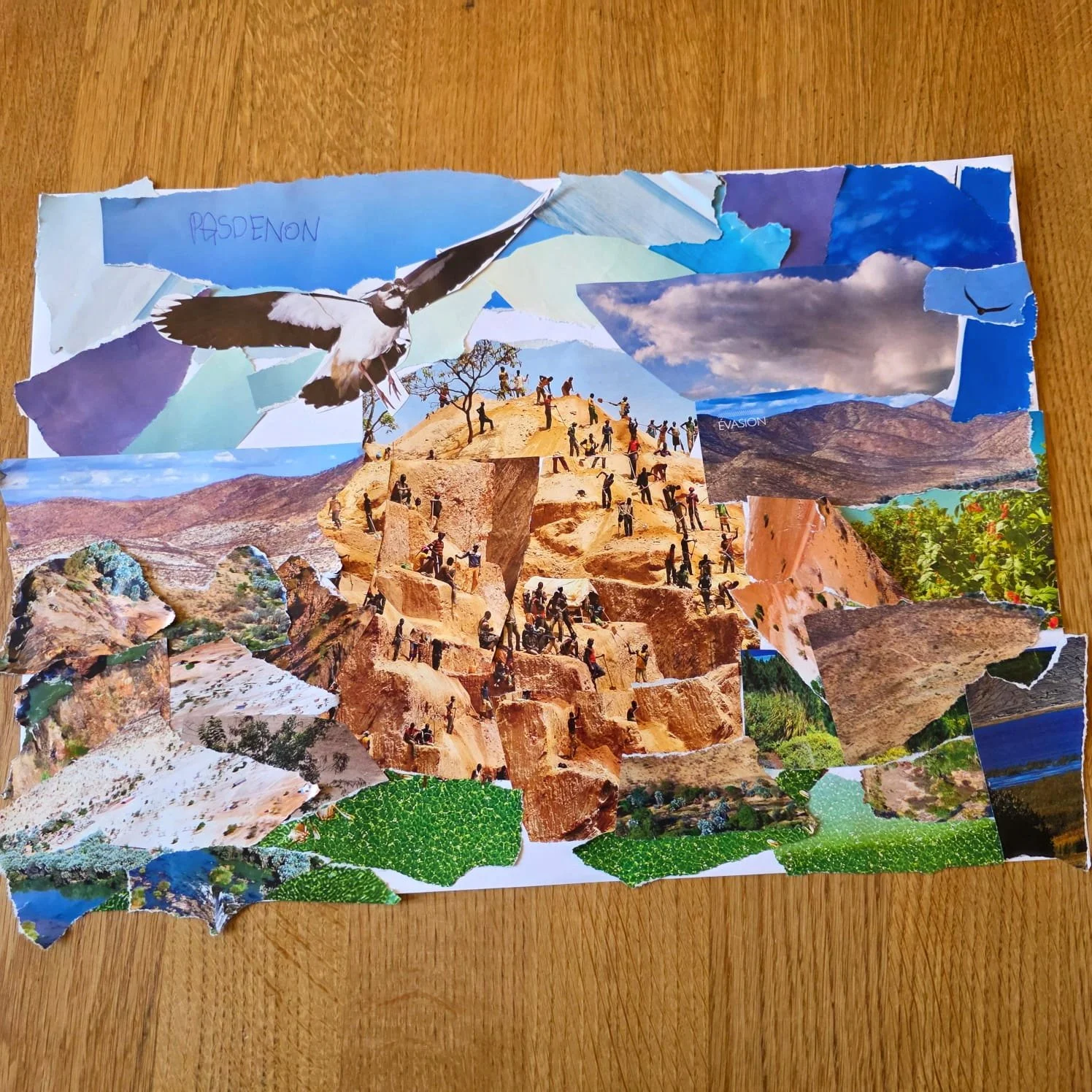 PHOTO-2026-03-15-19-38-13 2.jpg