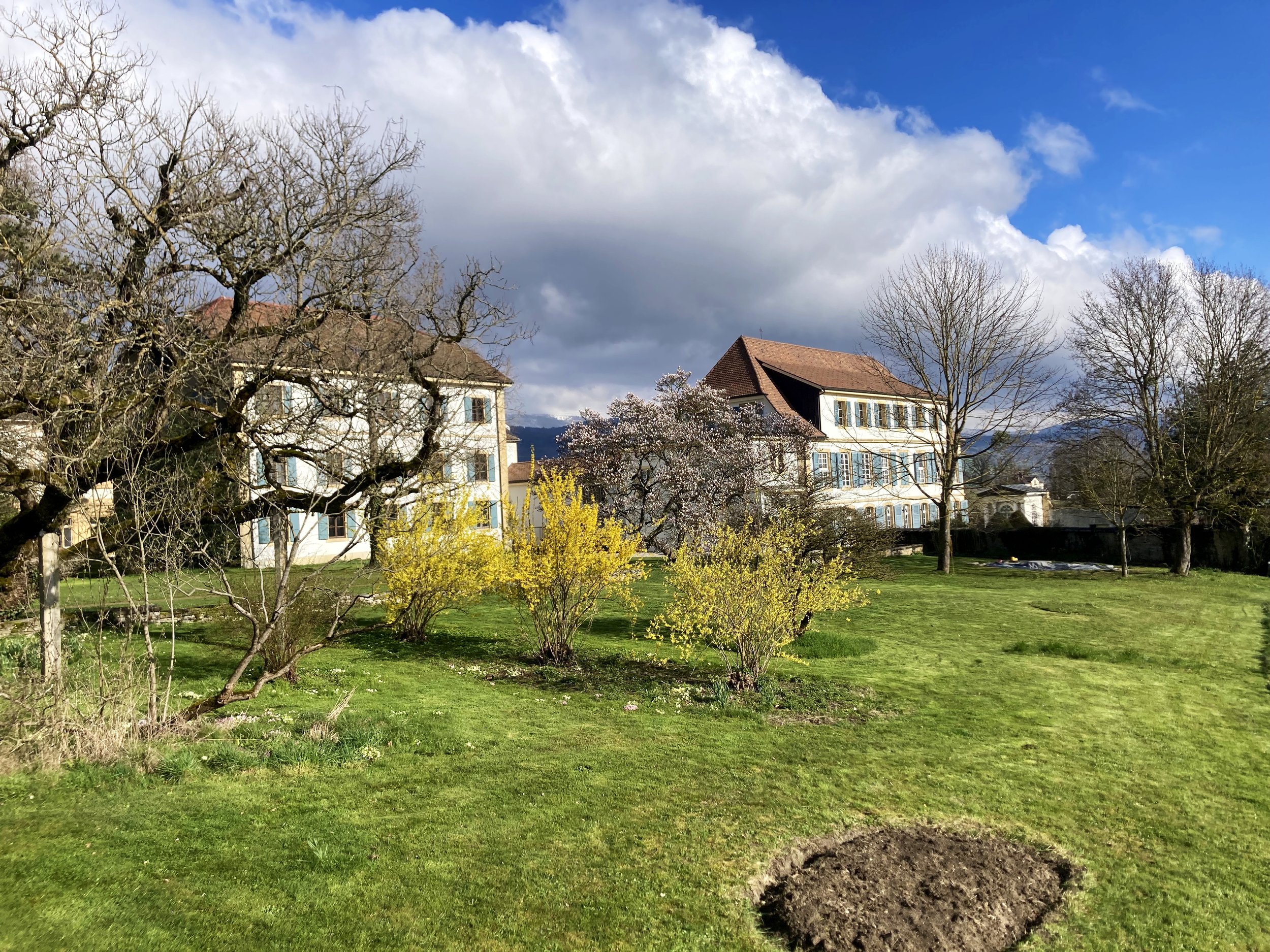 04 61D2B516-9ED8-4CD8-855B-6B90F3279C44.jpeg