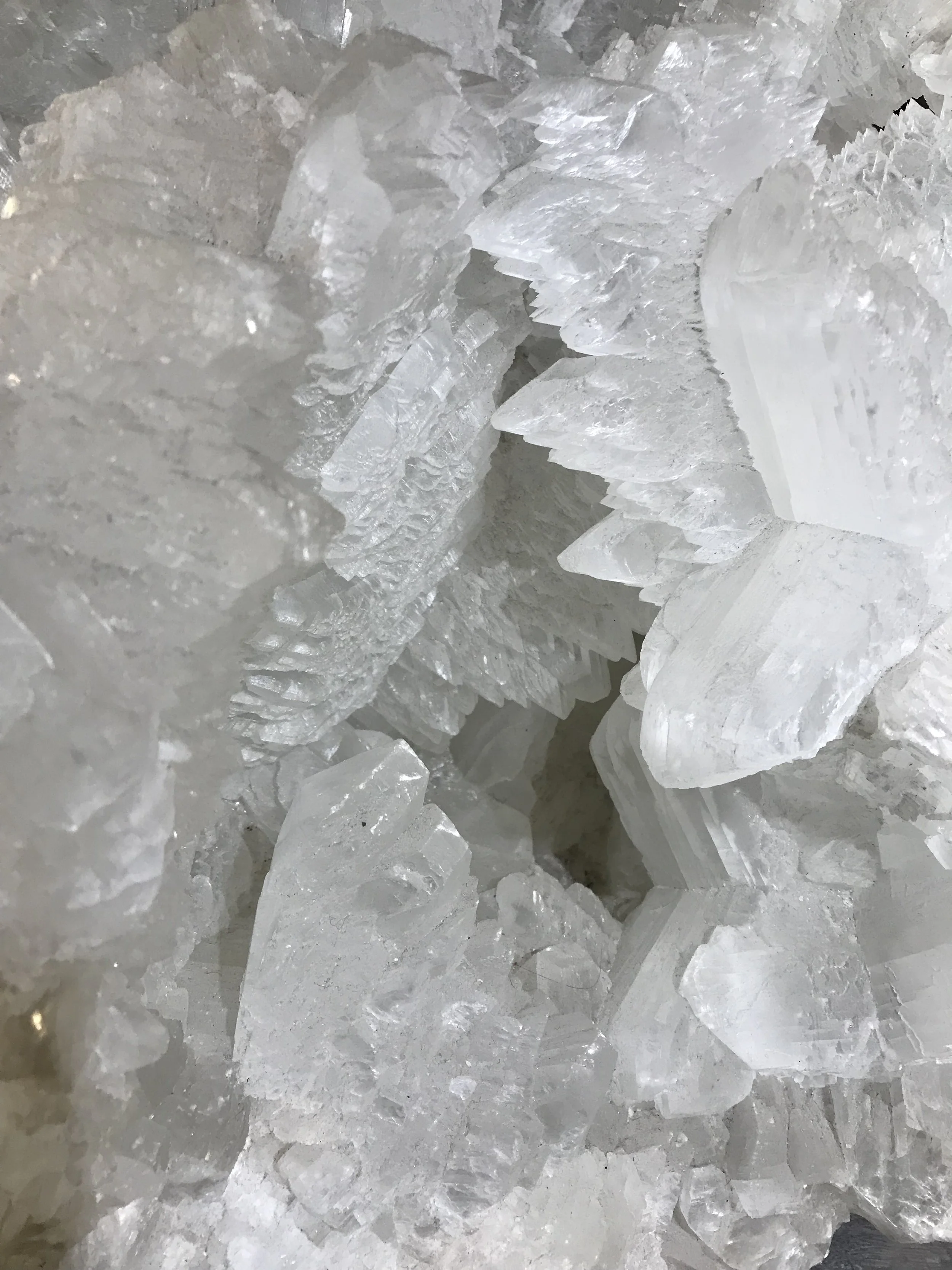 Poem: The “dead” season of winter