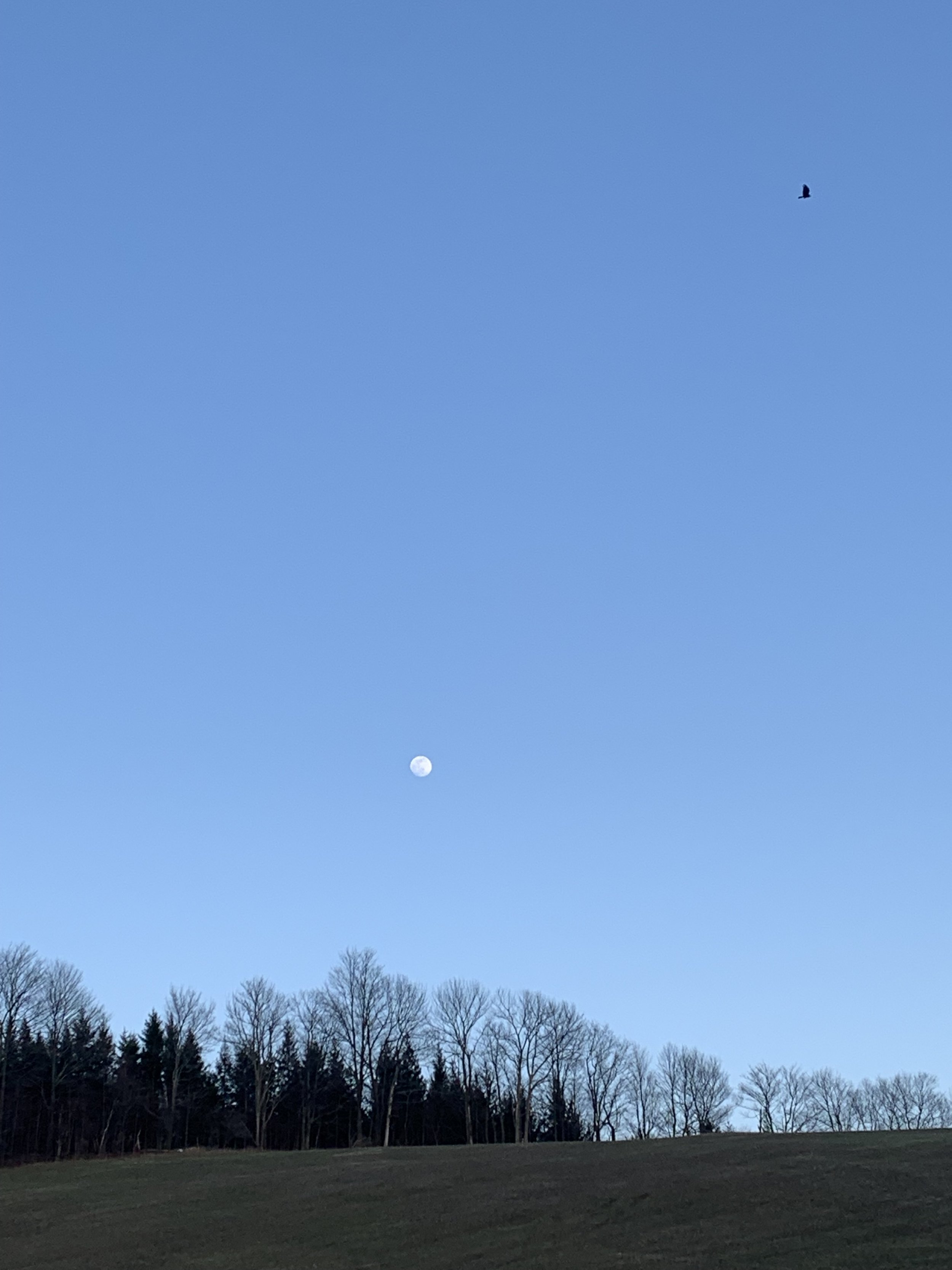 How I Started Working With the Energies of the Moon