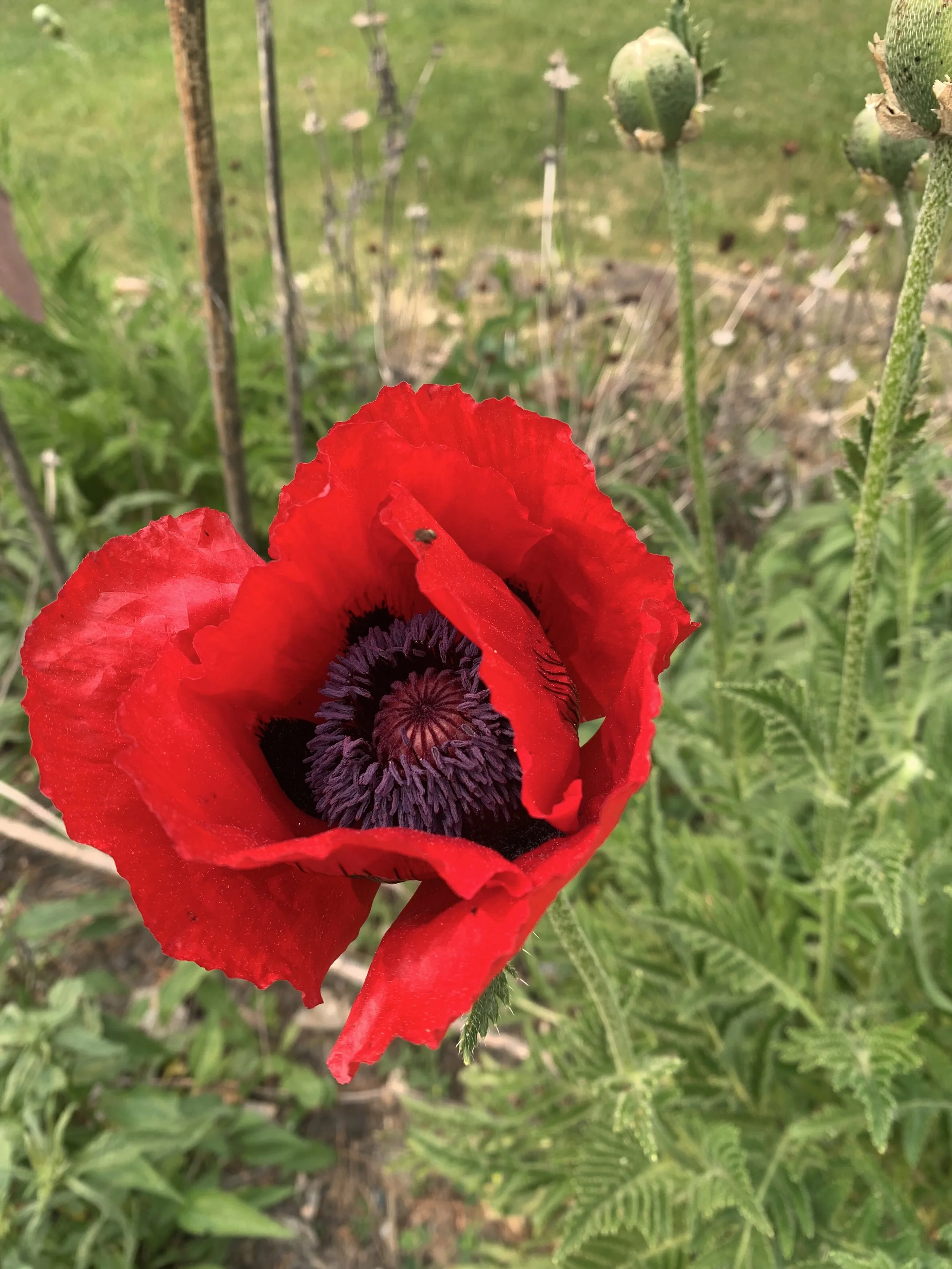 Why They Try to Keep You Small