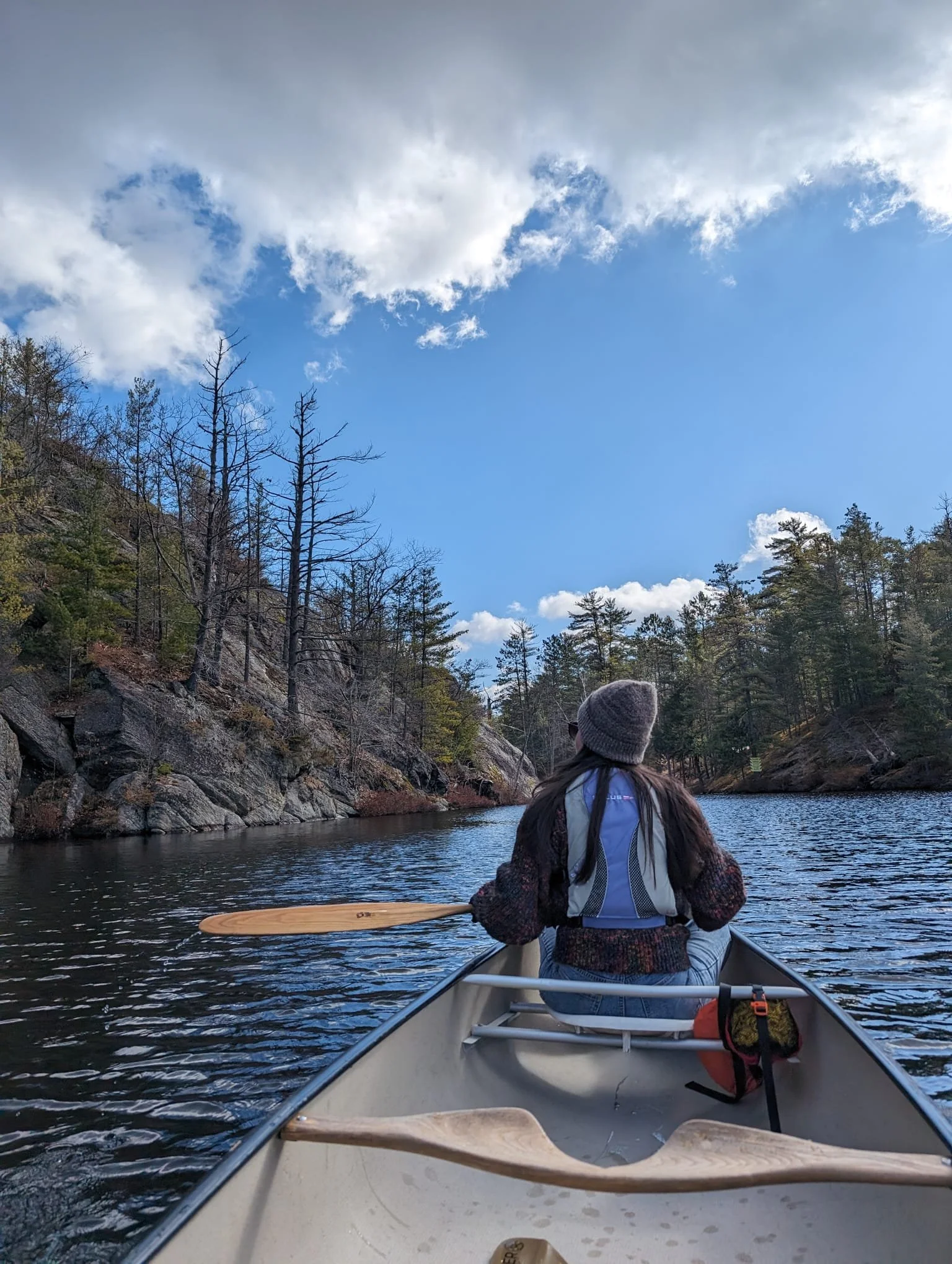 Living Your Dream Life Begins TODAY!