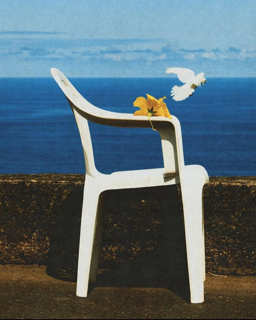 Howling with the Moon: Ancestral Memory, Earth Wisdom & Spirit-Led Ceremony