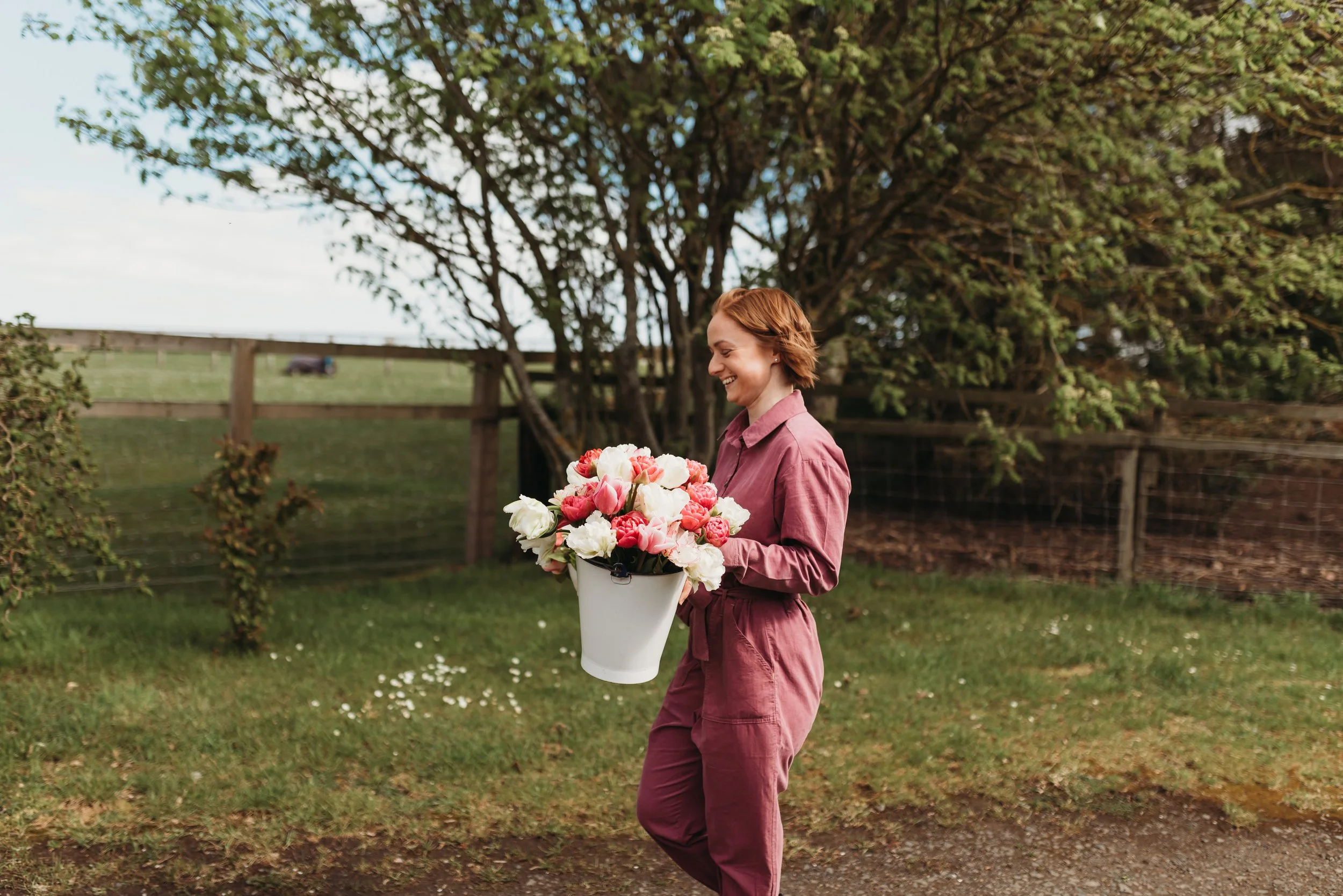 Locally grown tulips