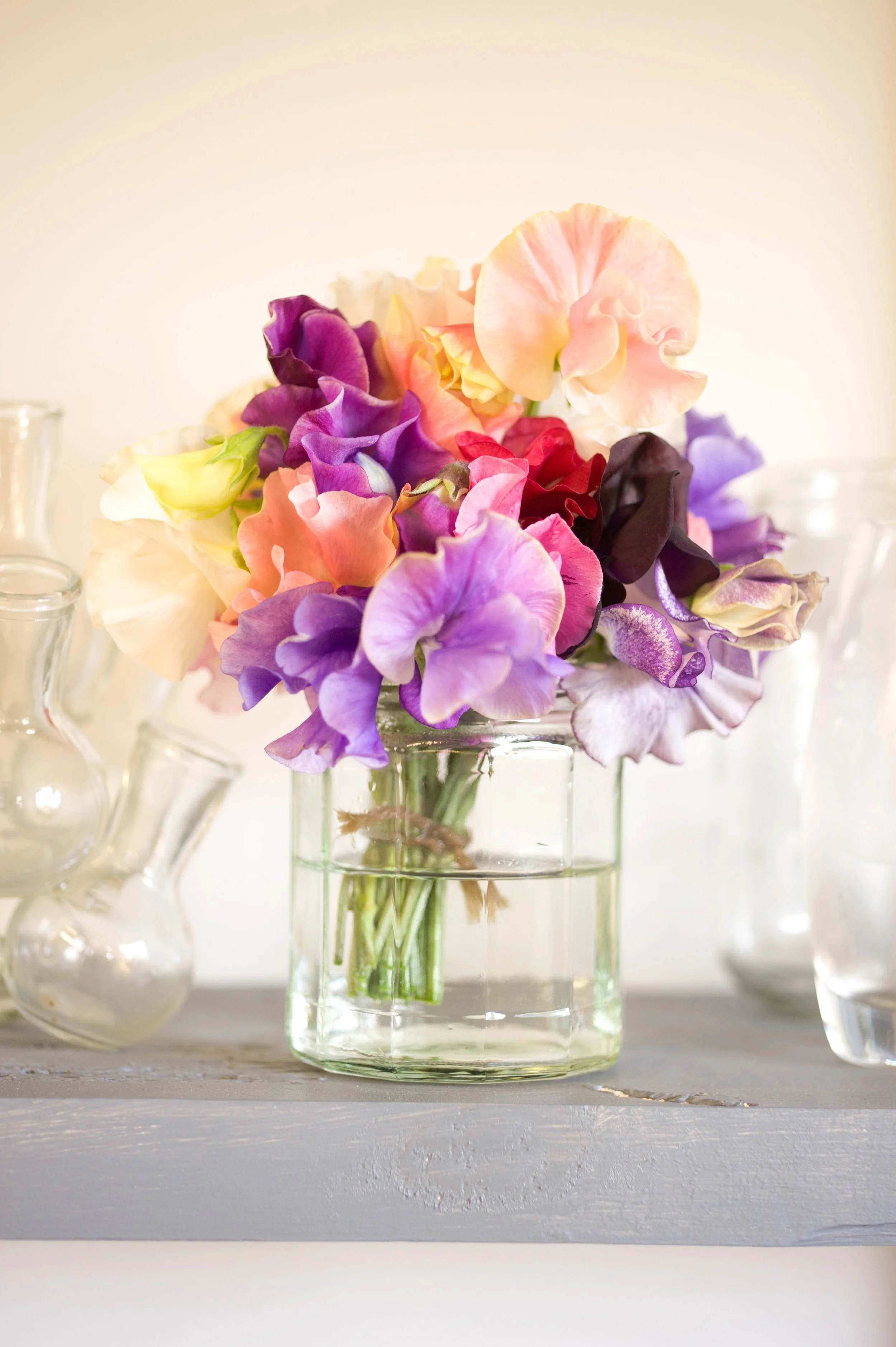 A Celebration of Sweet Peas Demonstration Saturday 27th June 2026 10.30am-12.30pm