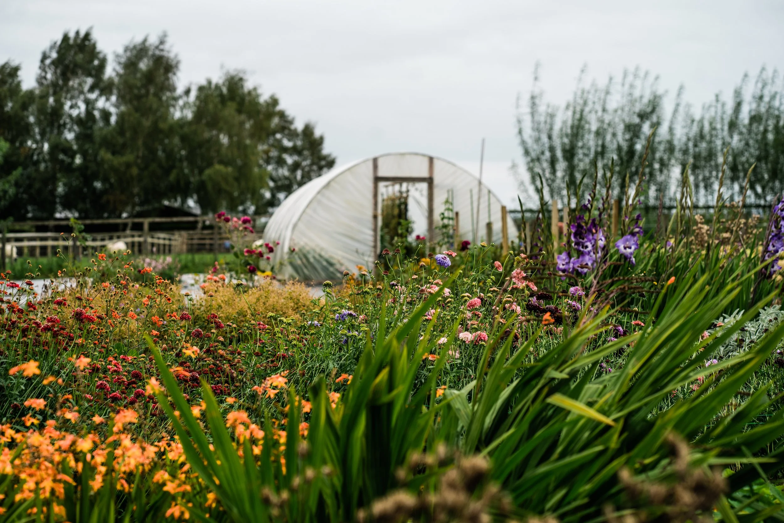 Locally grown seasonal flowers