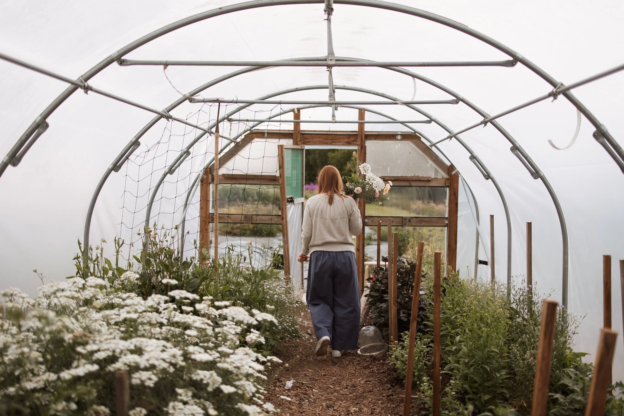 British flowers grown in Northumberland.