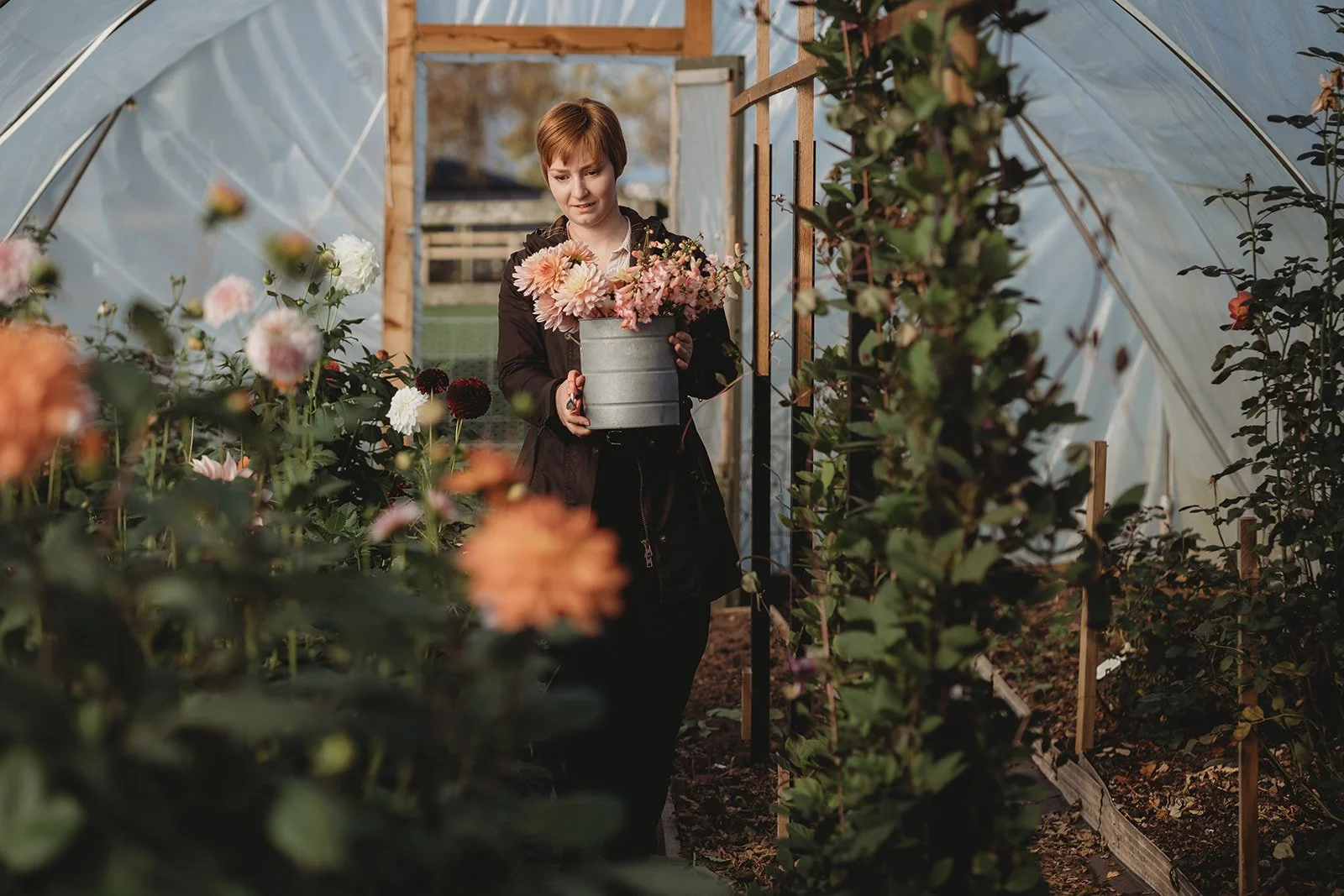Locally grown Northumberland flowers