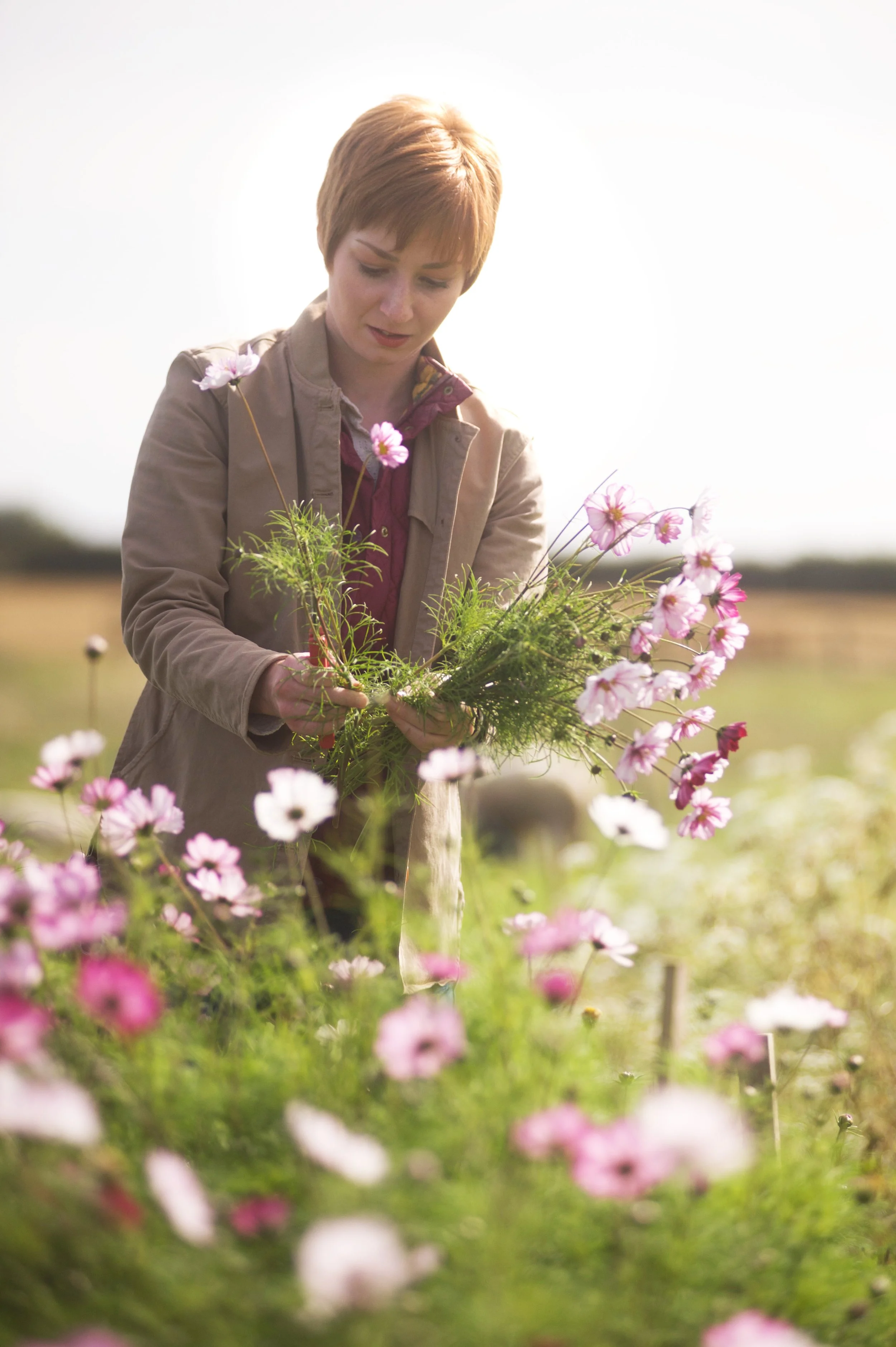 Locally grown wedding flowers in Northumberland and Scottish Borders.