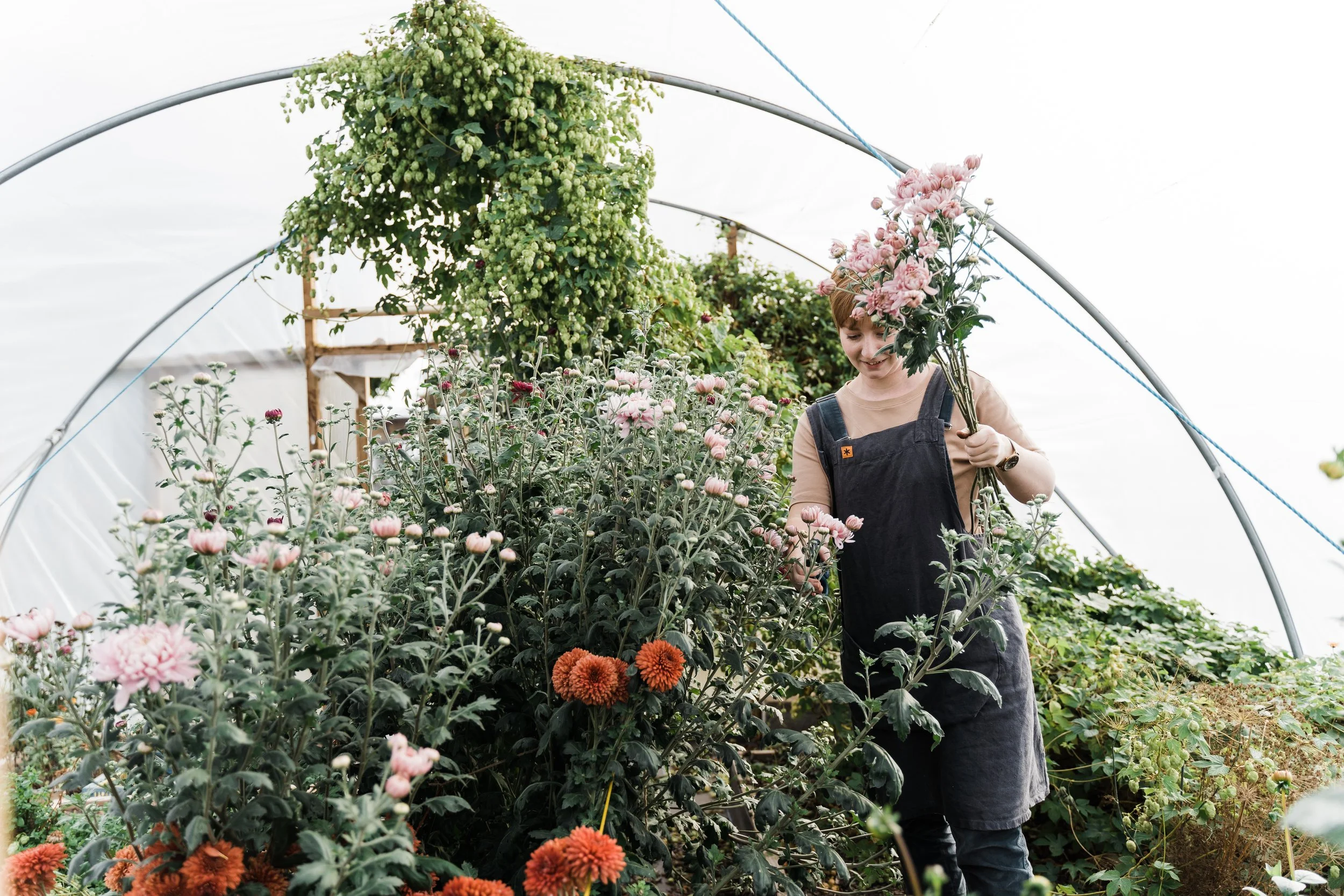 Seasonal flowers in Scottish Borders