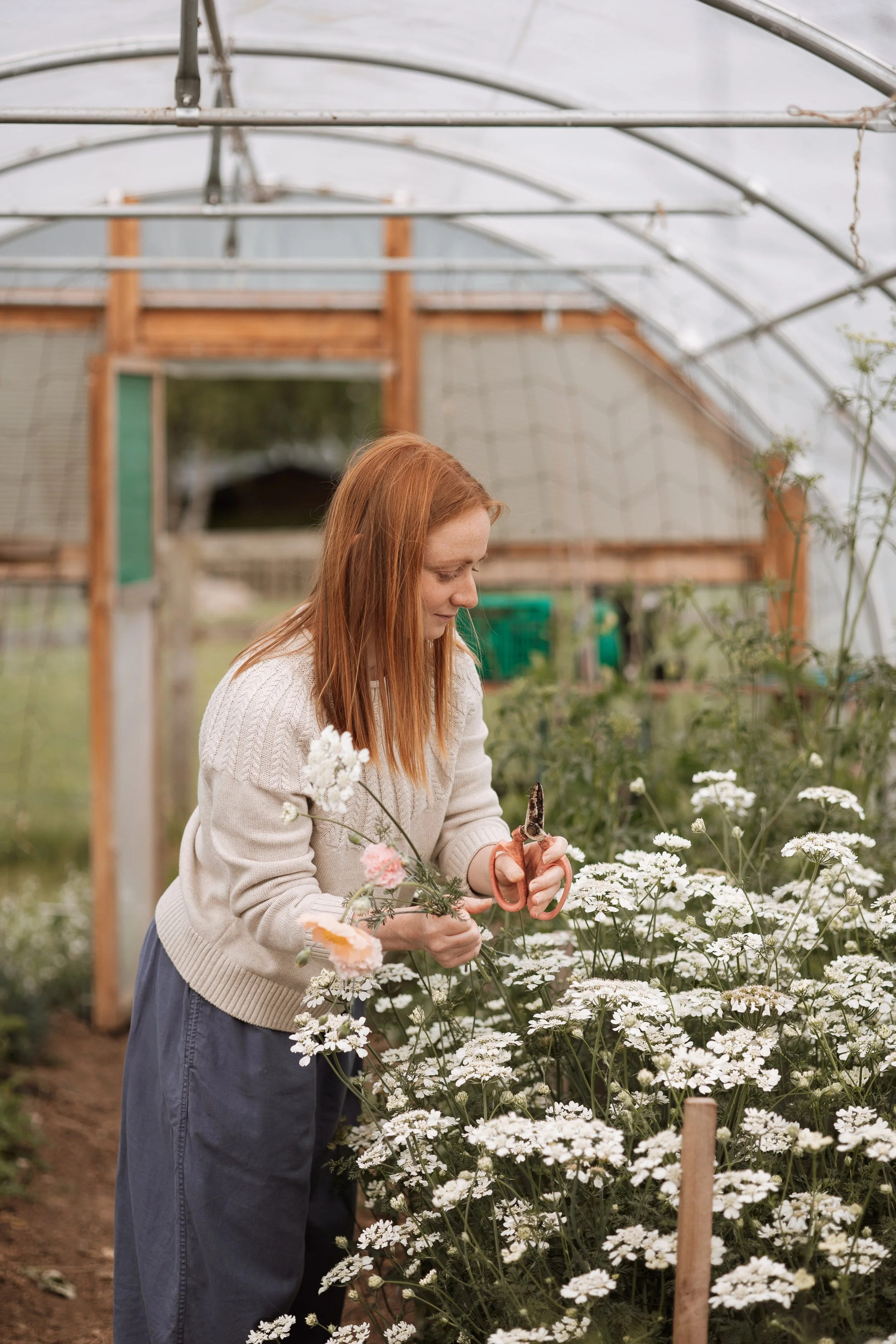 Locally grown flowers in Northumberland for weddings and events. 

