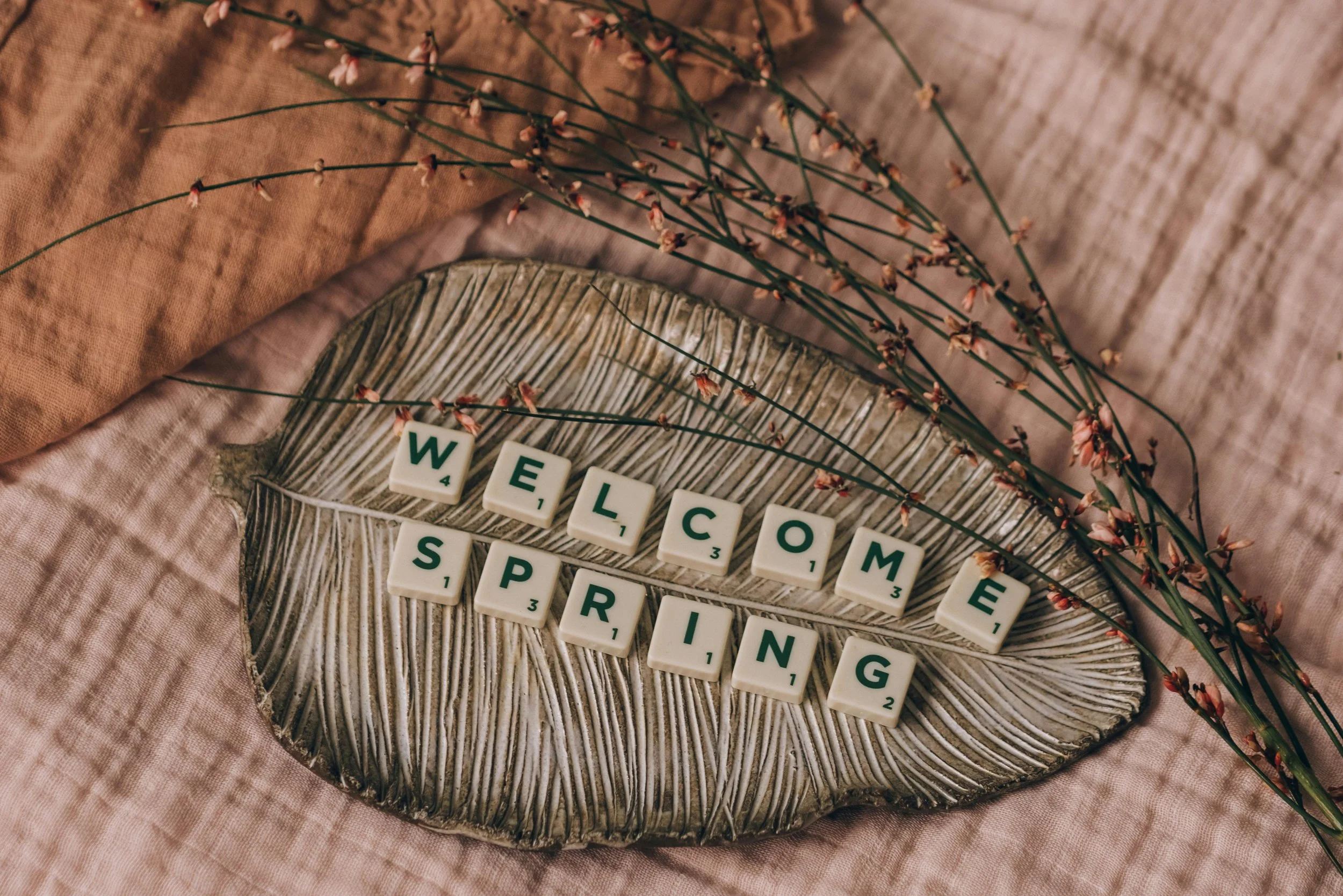 Spring is Here! Spring Cleaning 101! Breathe New Life into Your Home This Season