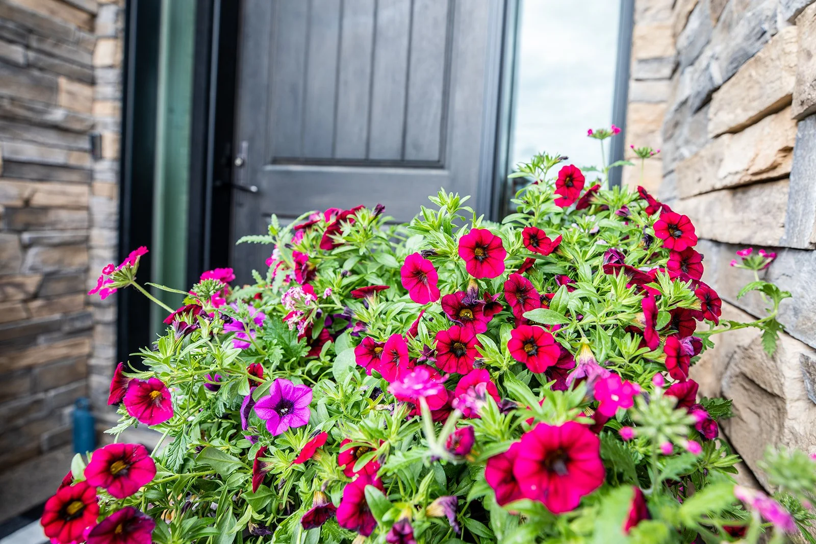 Exterior-65 - Copy.jpg