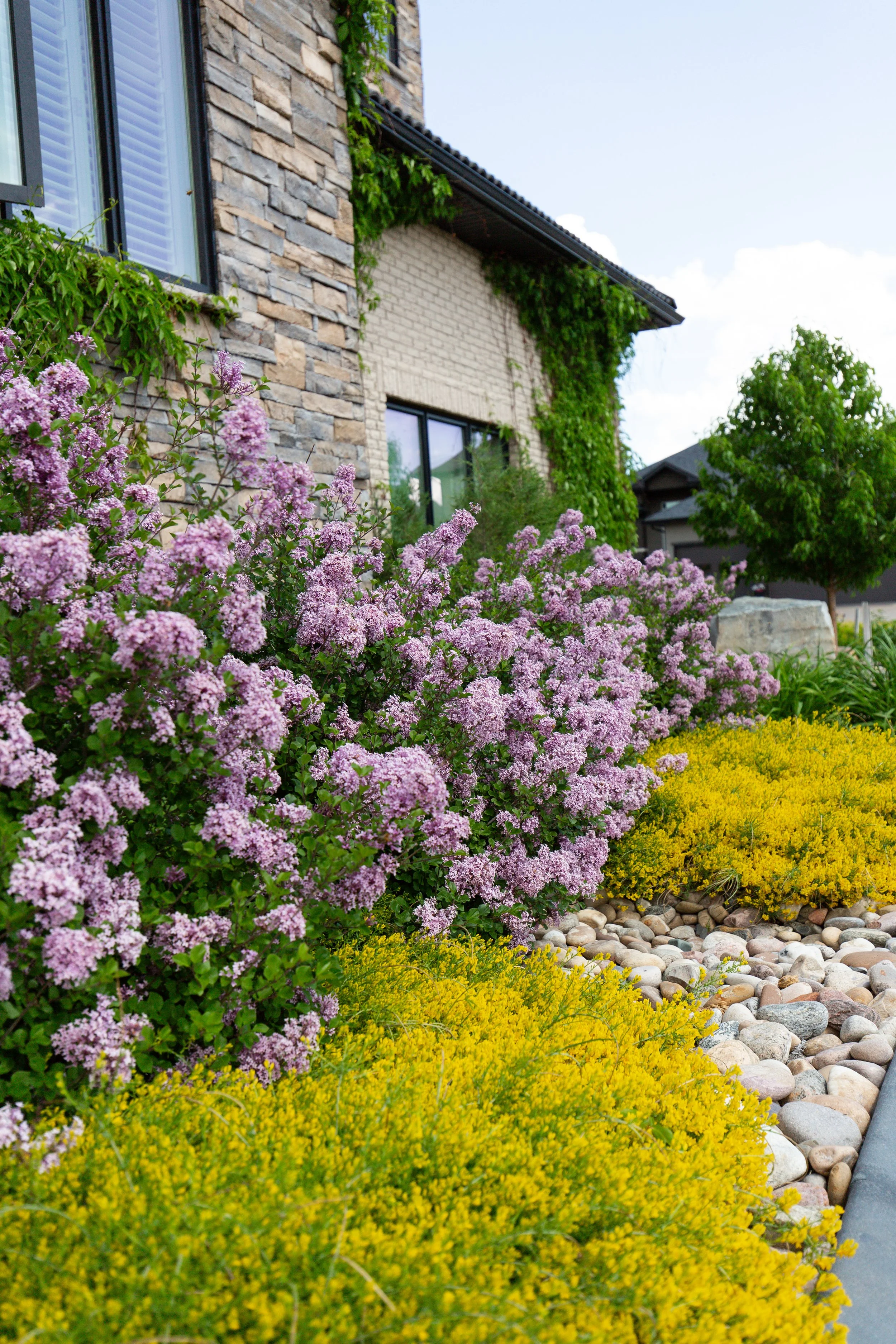 Flowers for Curb Appeal