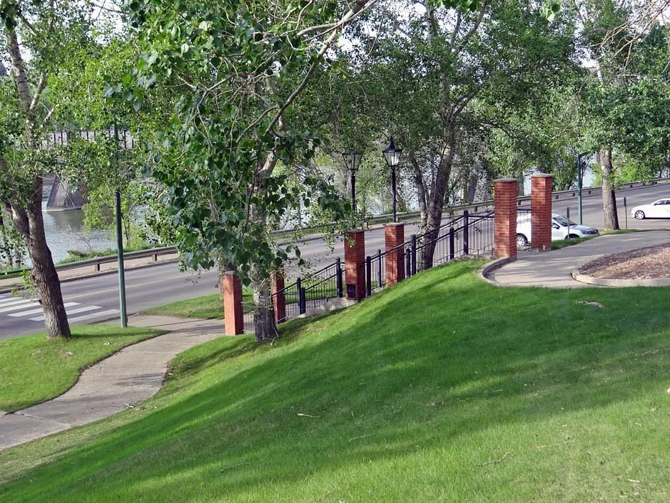 back-side-of-the-park.jpg