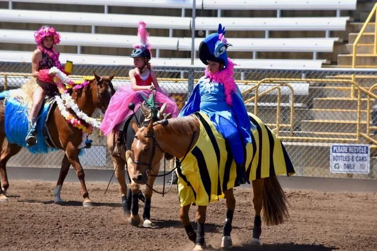horseshow2-768x512.jpg