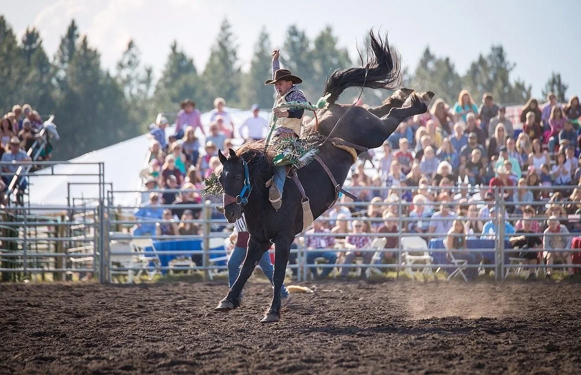 rodeo.jpg