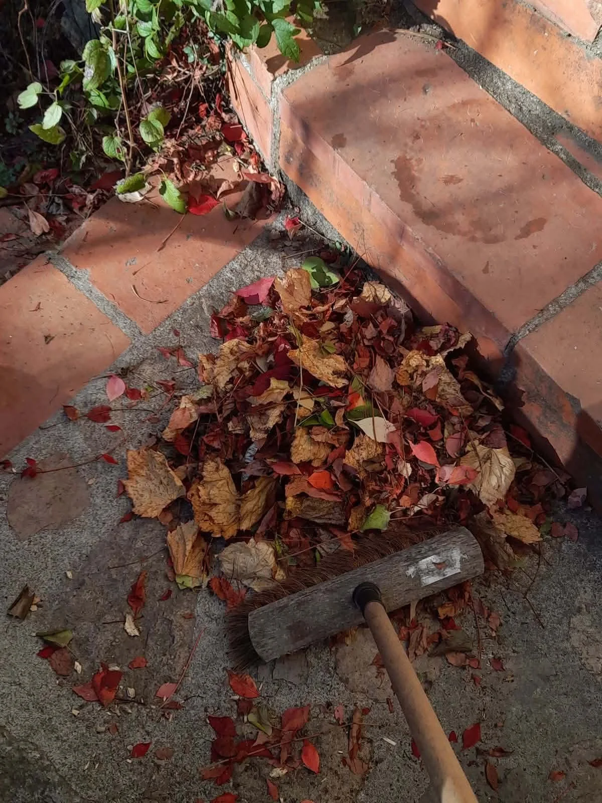 The Medicine Hat Homeowner’s Fall Checklist: What to Do Before Winter