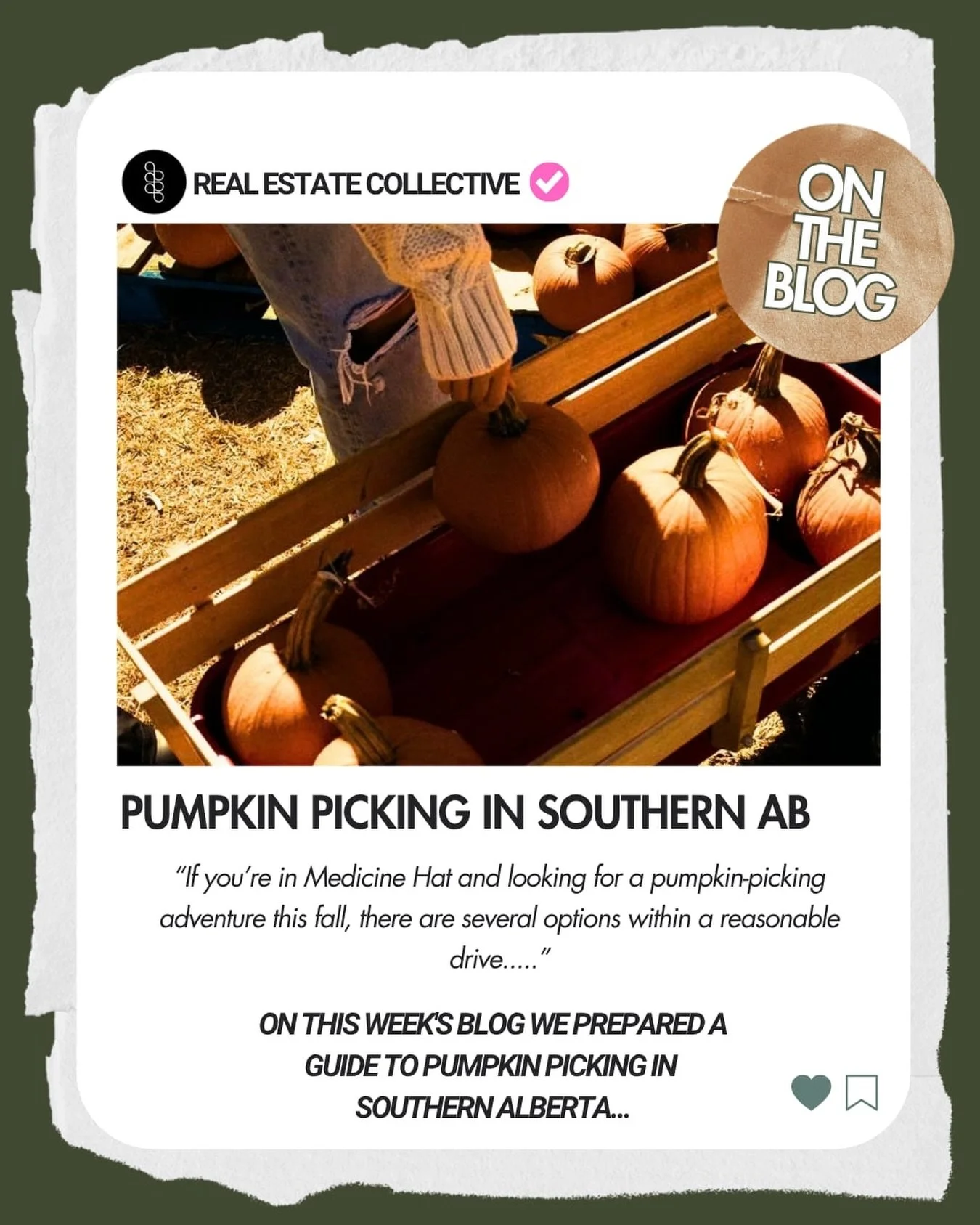 Pumpkin season is here! 🎃🍂 If you&rsquo;re looking for a fun little fall outing, we rounded up some spots around Southern Alberta to find your perfect pumpkin, along with a few tips for keeping it fresh once you bring it home. 

Comment &ldquo;pump