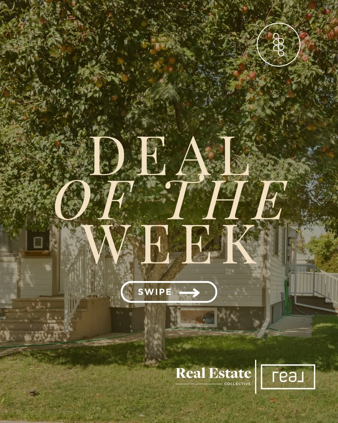 Deal of the Week! 🔥

Looking for an affordable home with plenty of space? This 3-bedroom bungalow is perfect for first-time buyers, downsizers, or investors! Featuring a bright living room, functional kitchen, renovated basement with a family room a