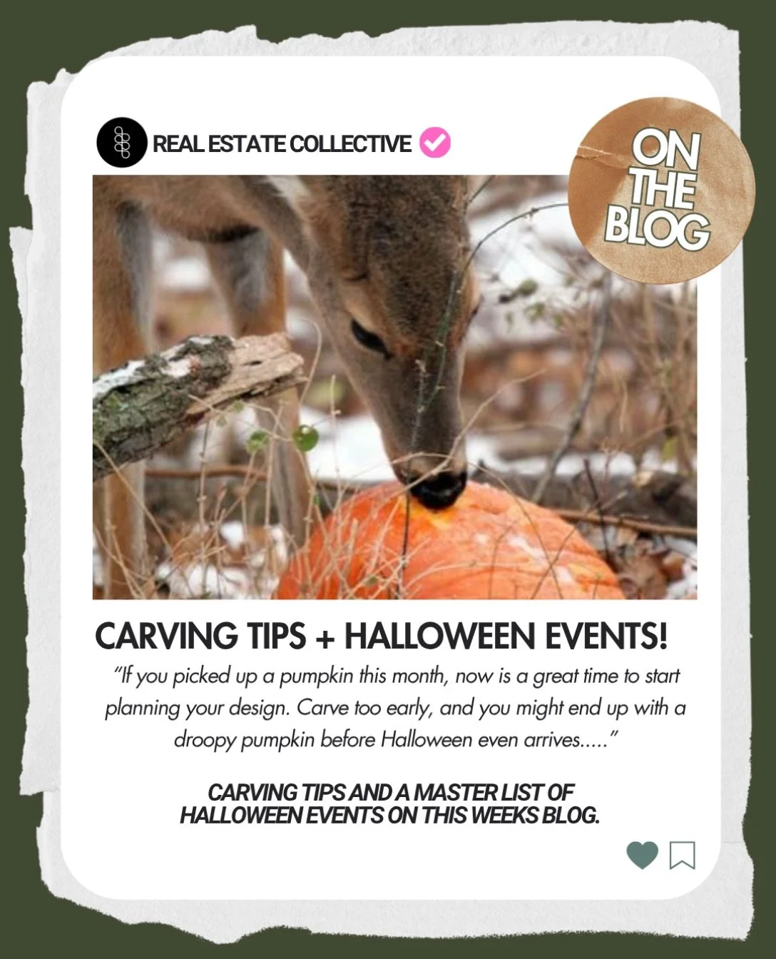 Ready for Halloween? 🎃

From pumpkin carving tips to local Halloween events, this week&rsquo;s blog has everything you need to get into the spooky spirit! 👻🧡

Comment &ldquo;carve&rdquo; for inspiration and a list of Halloween events to add to you