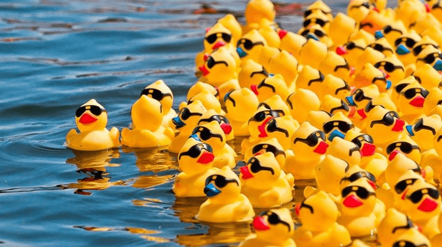 medicine hat duck race, kinsmen
