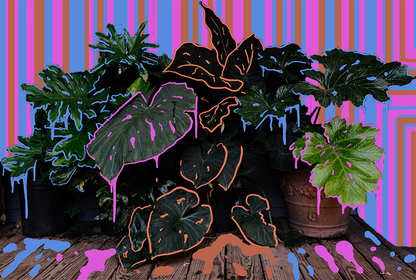 Weekly #016