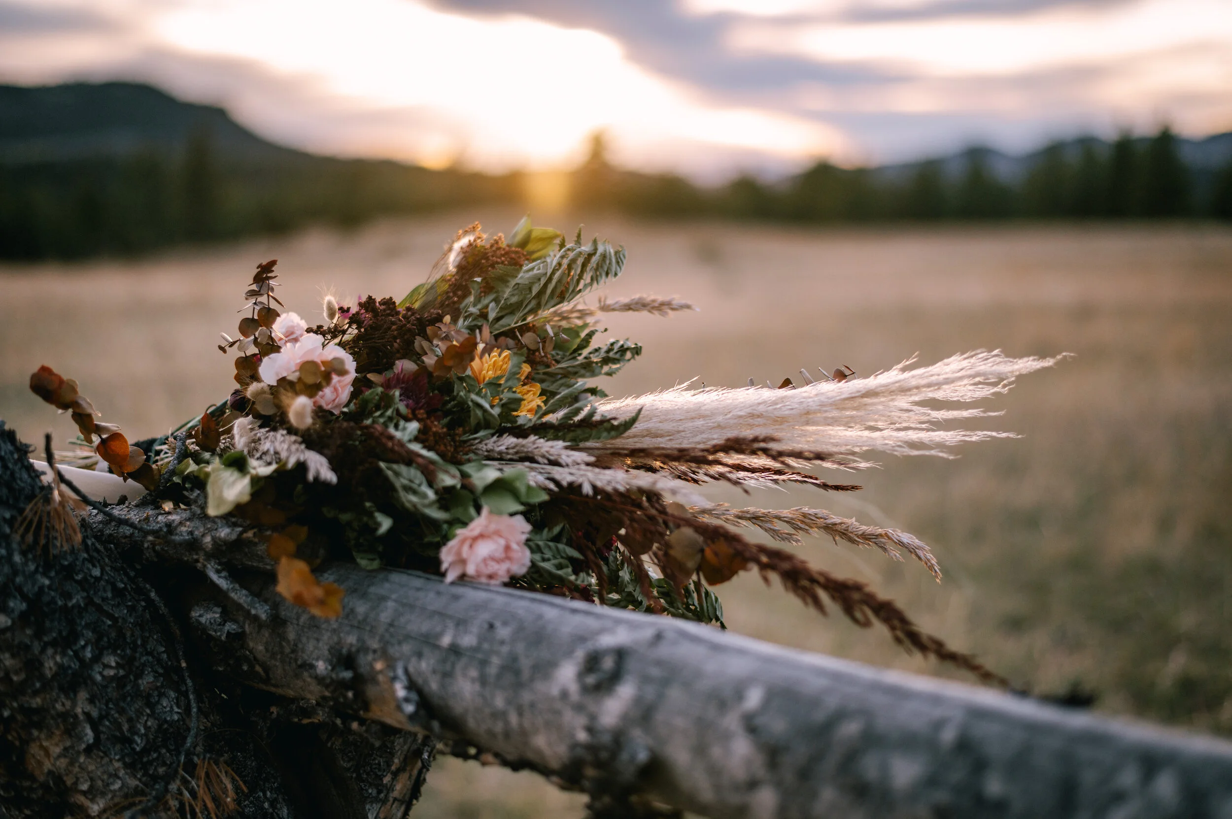 Summer Star Ranch Wedding