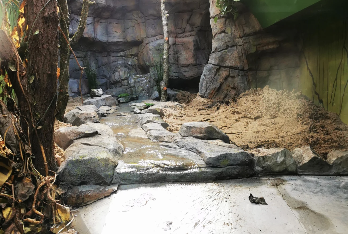 zoo habitat construction