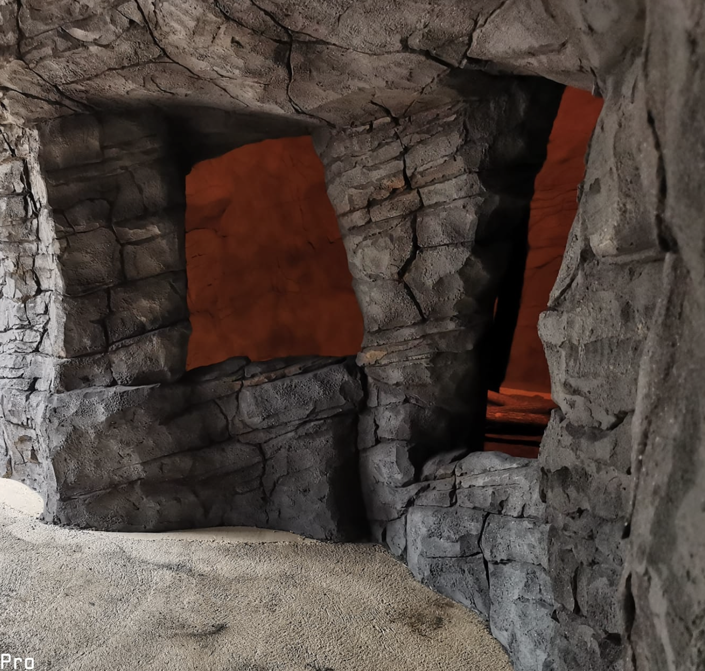 pygmy hippo habitat netherlands