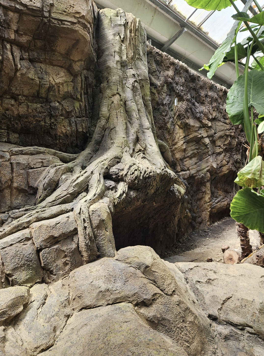 artificial trees in a zoo themed habitat