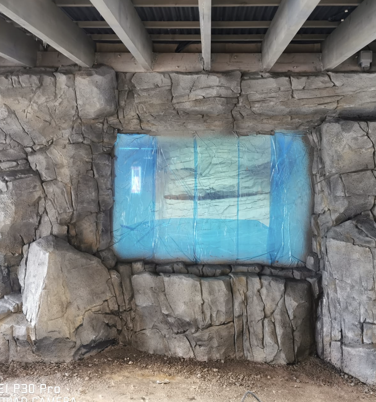 chester zoo artificial rock habitat