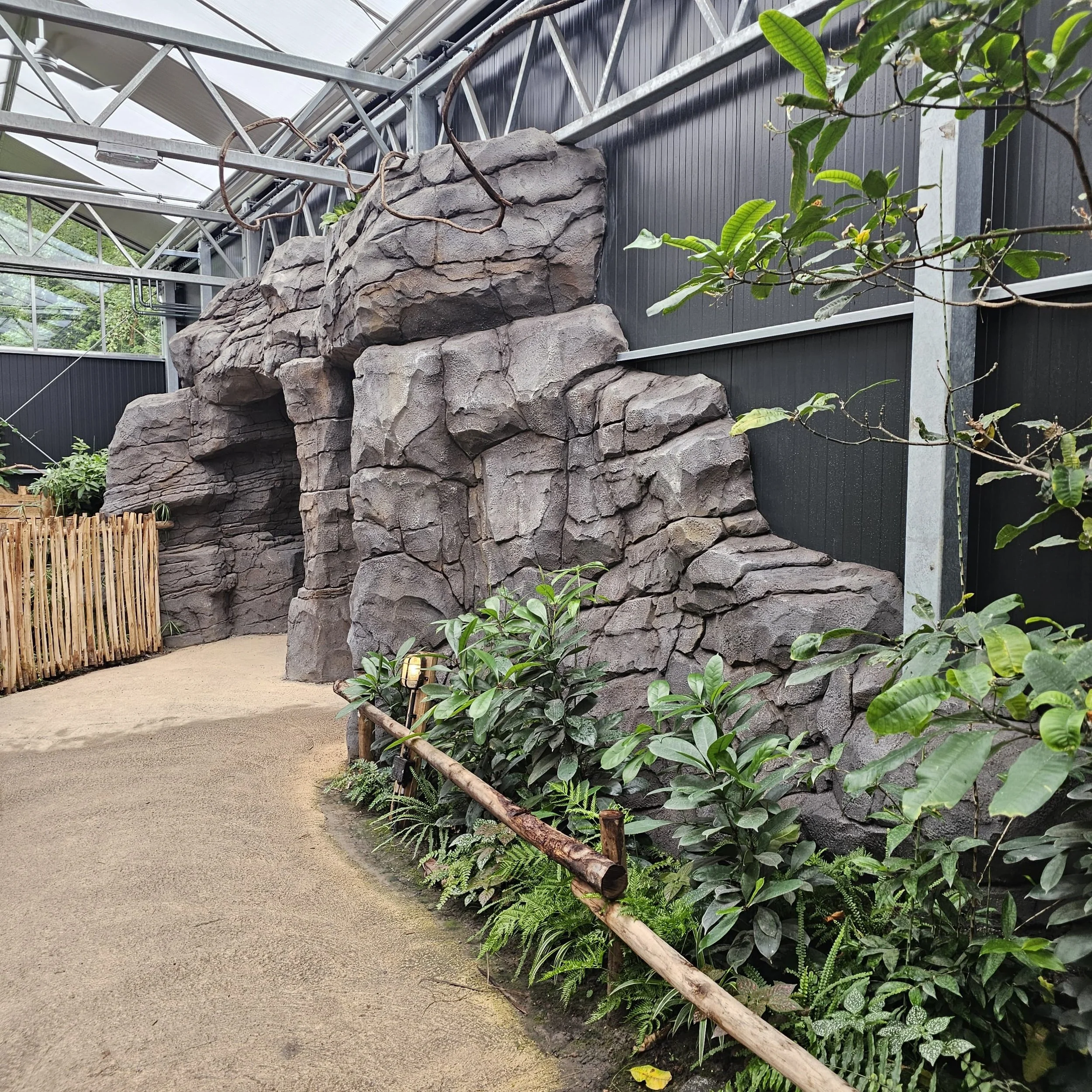 pygmy hippo habitat netherlands