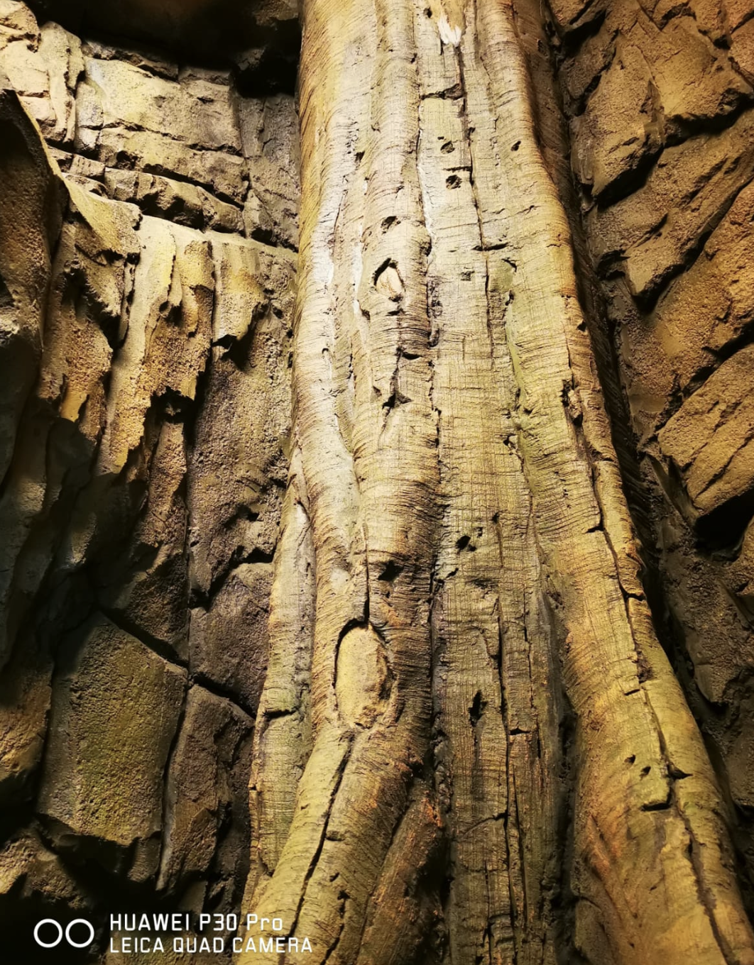 artificial tree created from concrete