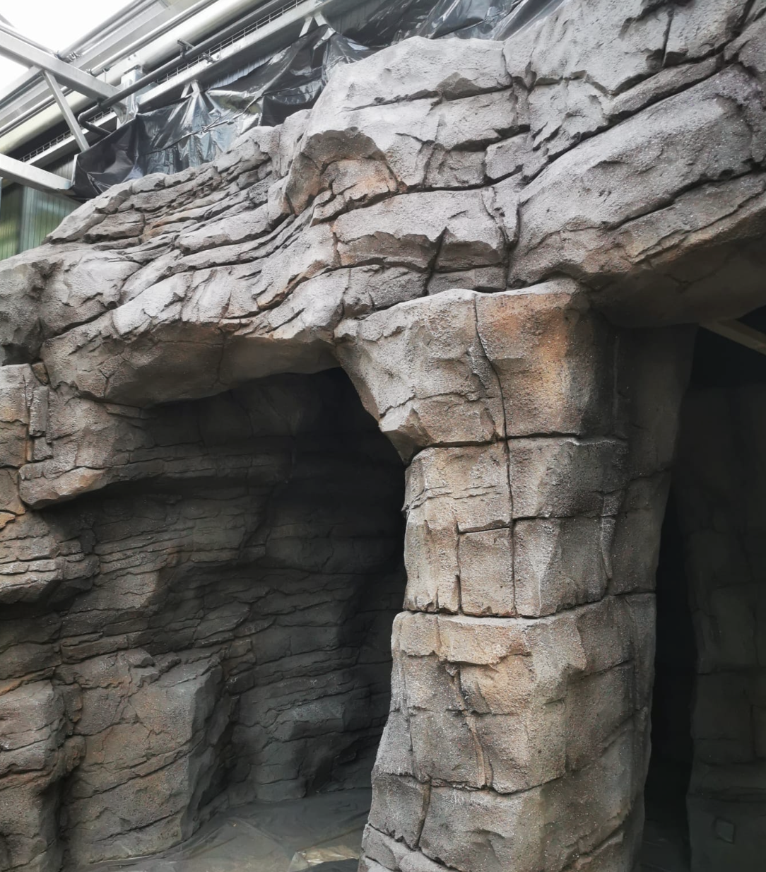 pygmy hippo habitat netherlands