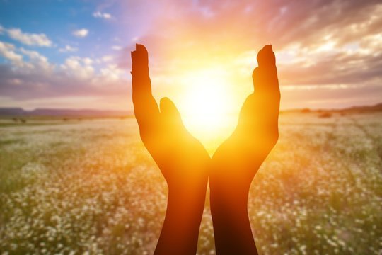 Focusing on the Light in the New Work World