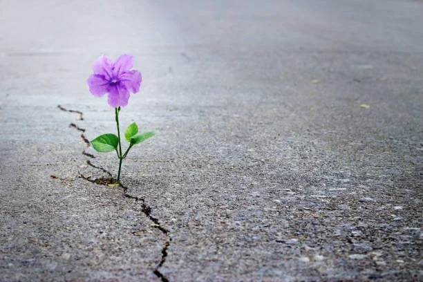 Stay Flexible and Bloom Where You Are Planted