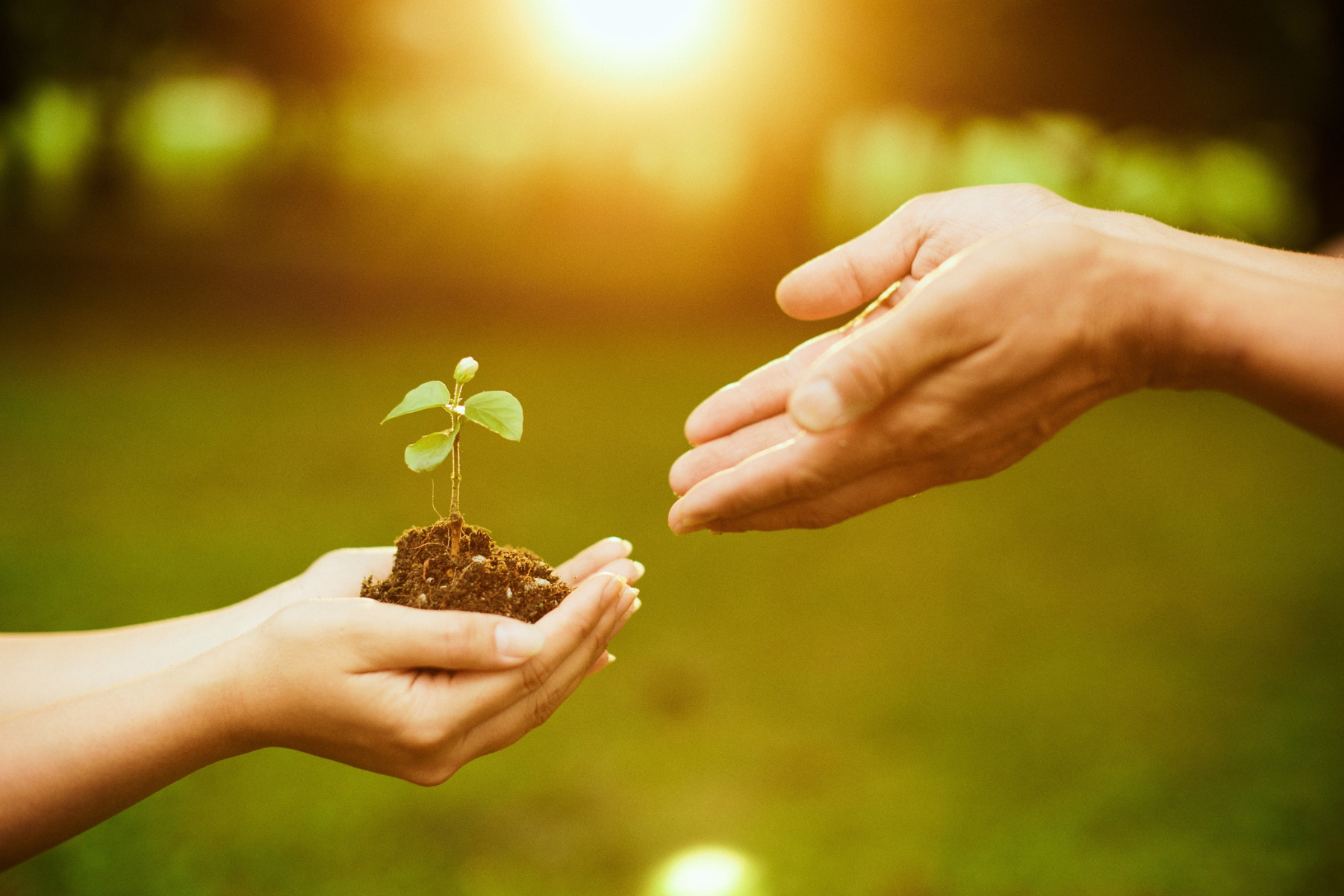 Enjoy a New Season of Growth